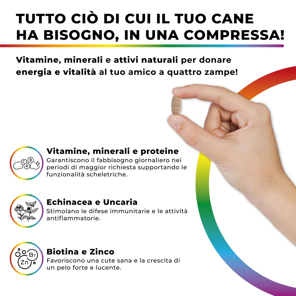 PETCEUTICA Integratore per Cane Anziano, Sistema Immunitario, Echinacea e Uncaria, Multivitaminico, 60 Compresse Appetibili, Made in Italy