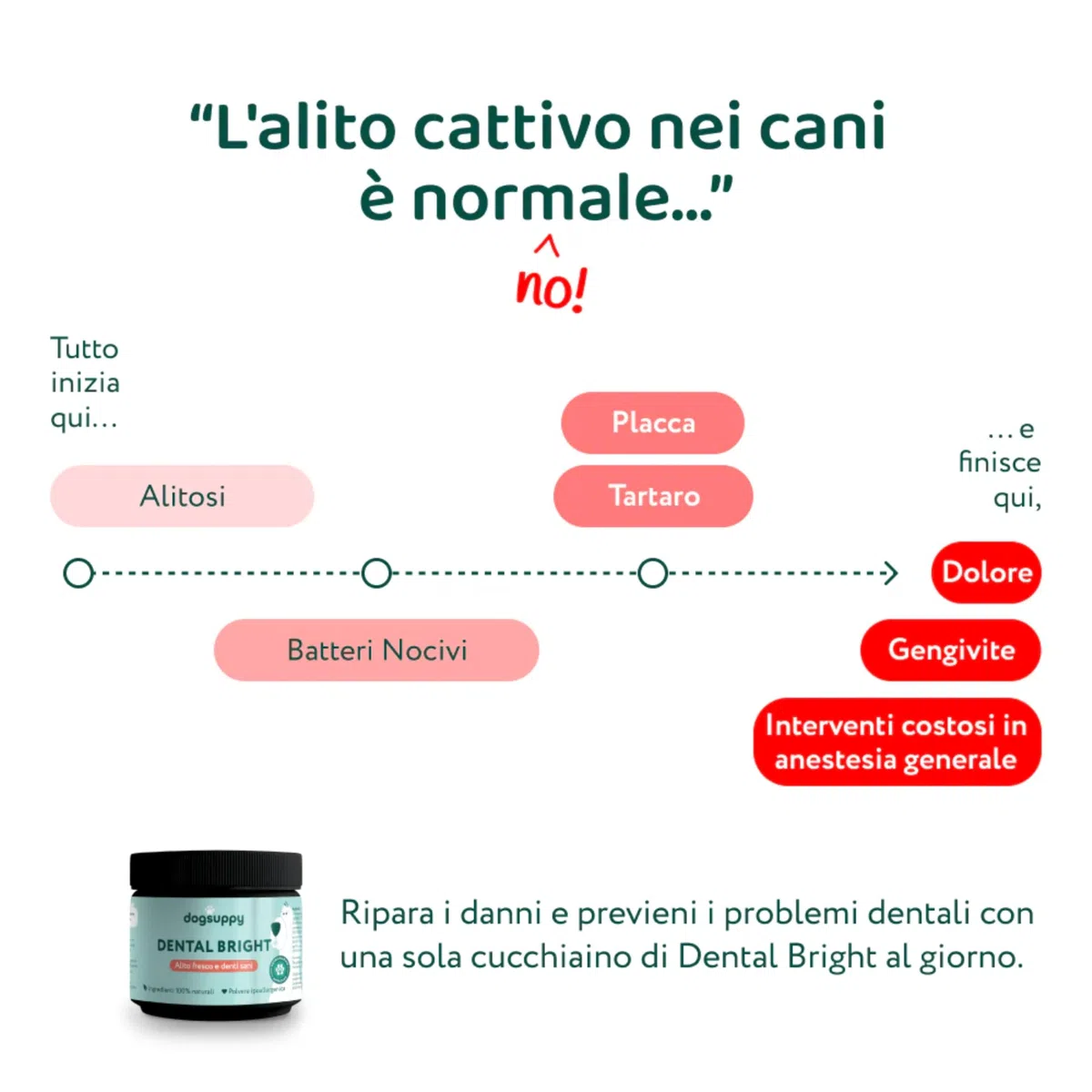 DogSuppy Dental Bright per Cani - Alito Fresco, Denti Bianchi, Riduce Placca e Tartaro, 100% Naturale, Formula 3-in-1, Senza Spazzolatura, Adatto a Tutte Le Razze