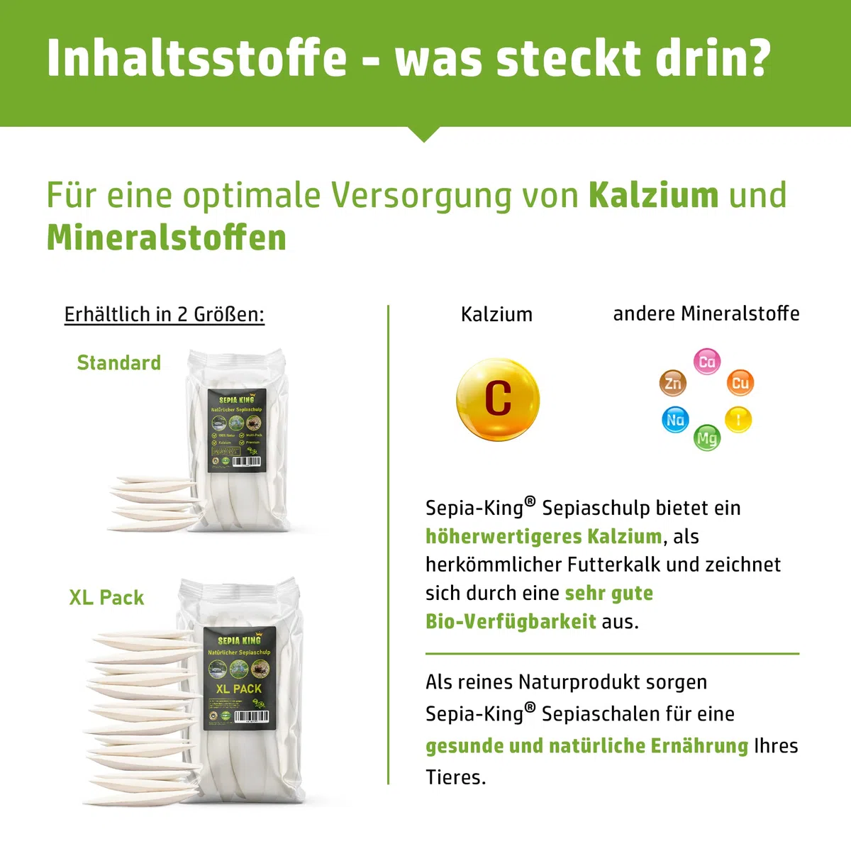 Sepia King Seppiaschalen Premium XL, confezione risparmio da 250 g, ciotole Seppia – ottimale calcio e vitamine – cibo, mangime per rettili, tartarughe, barbagami, uccelli – accessori per terrario