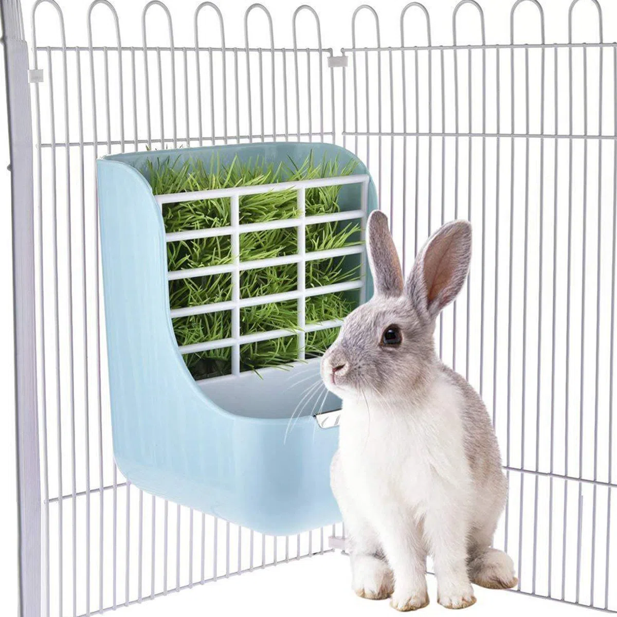 NO Heiqlay 1 Mangiatoia Porta Fieno per Conigli e 1 Borraccia, 2 in 1, in plastica, per Animali- Cavia, Coniglietti, porcellini d'India