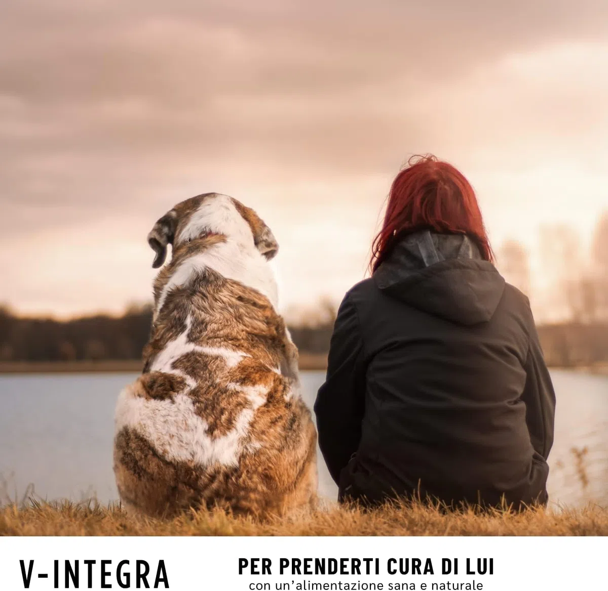 V-INTEGRA Cane Anziano 200g, Integratore Completo Ricco di Vitamine e Minerali per Dieta Casalinga e BARF, V Integra Multivitaminico Cane, Made in Italy