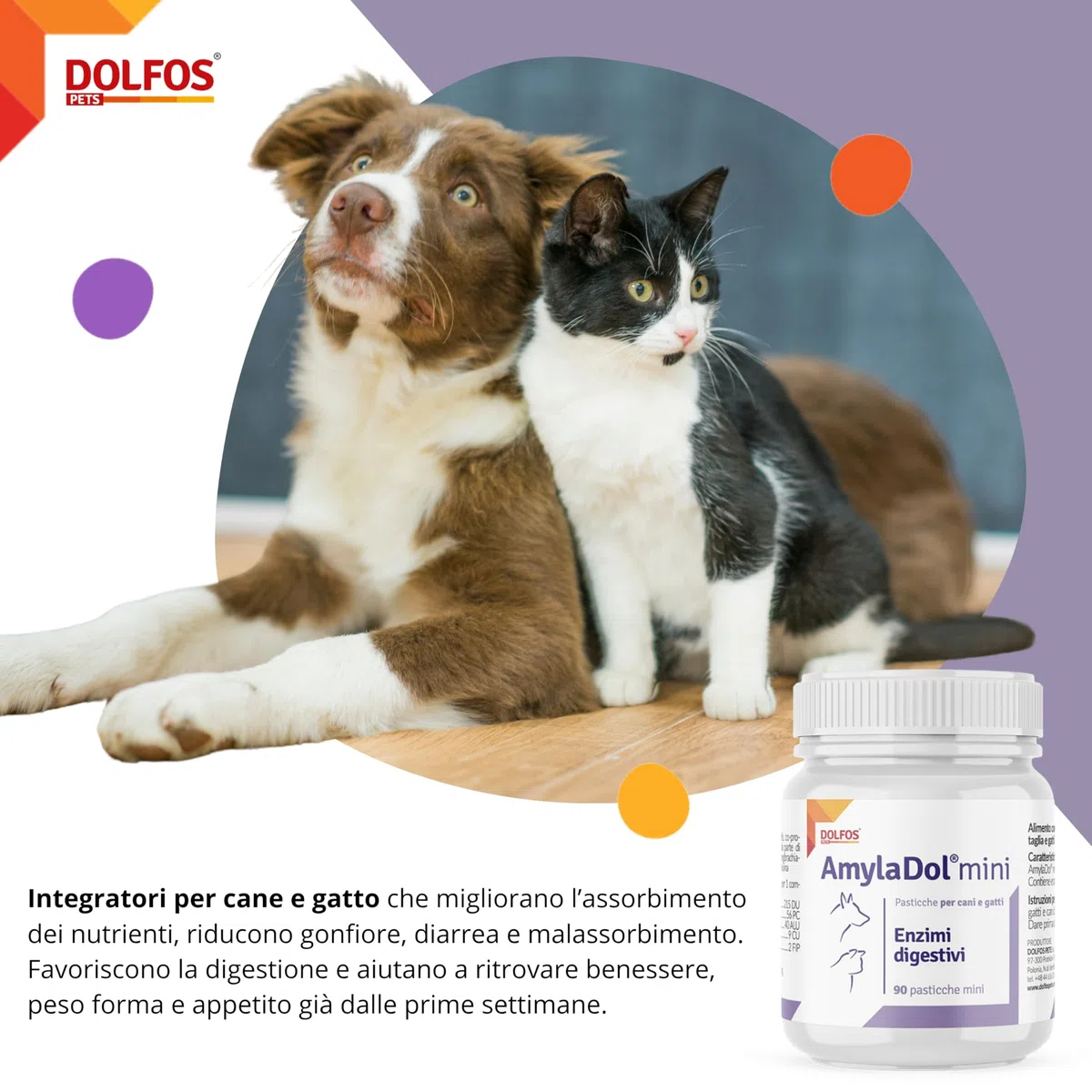Dolfos AmylaDol MINI 90 Compresse, Integratori per Cani e Gatti con Enzimi Pancreatici, Supporto Professionale per Insufficienza Pancreatica e Disturbi Digestivi