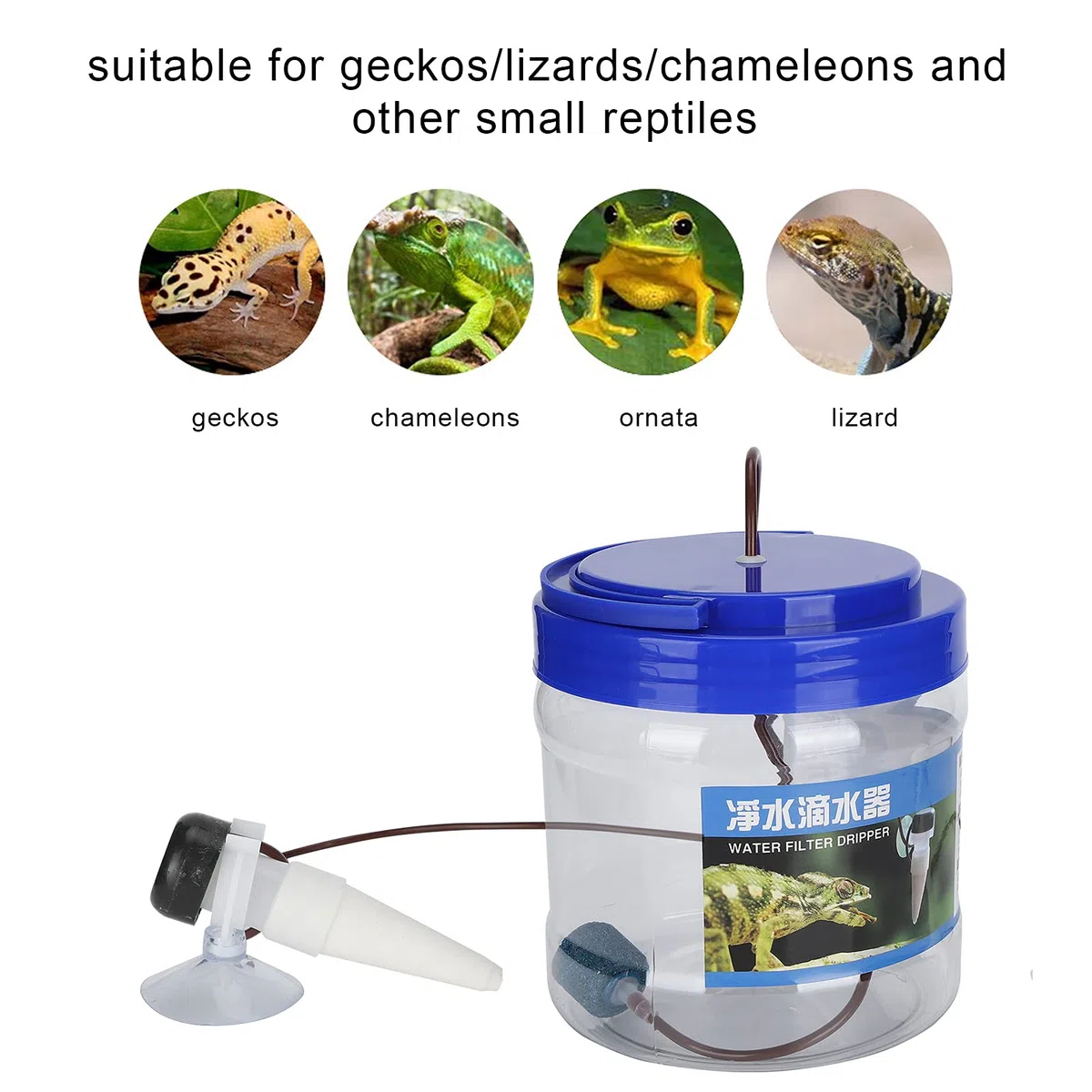Shanrya Strumento di irrigazione Goccia, grilli vivi per rettili Gocciolatore d'acqua per rettili per gechi per camaleonti per altri piccoli rettili
