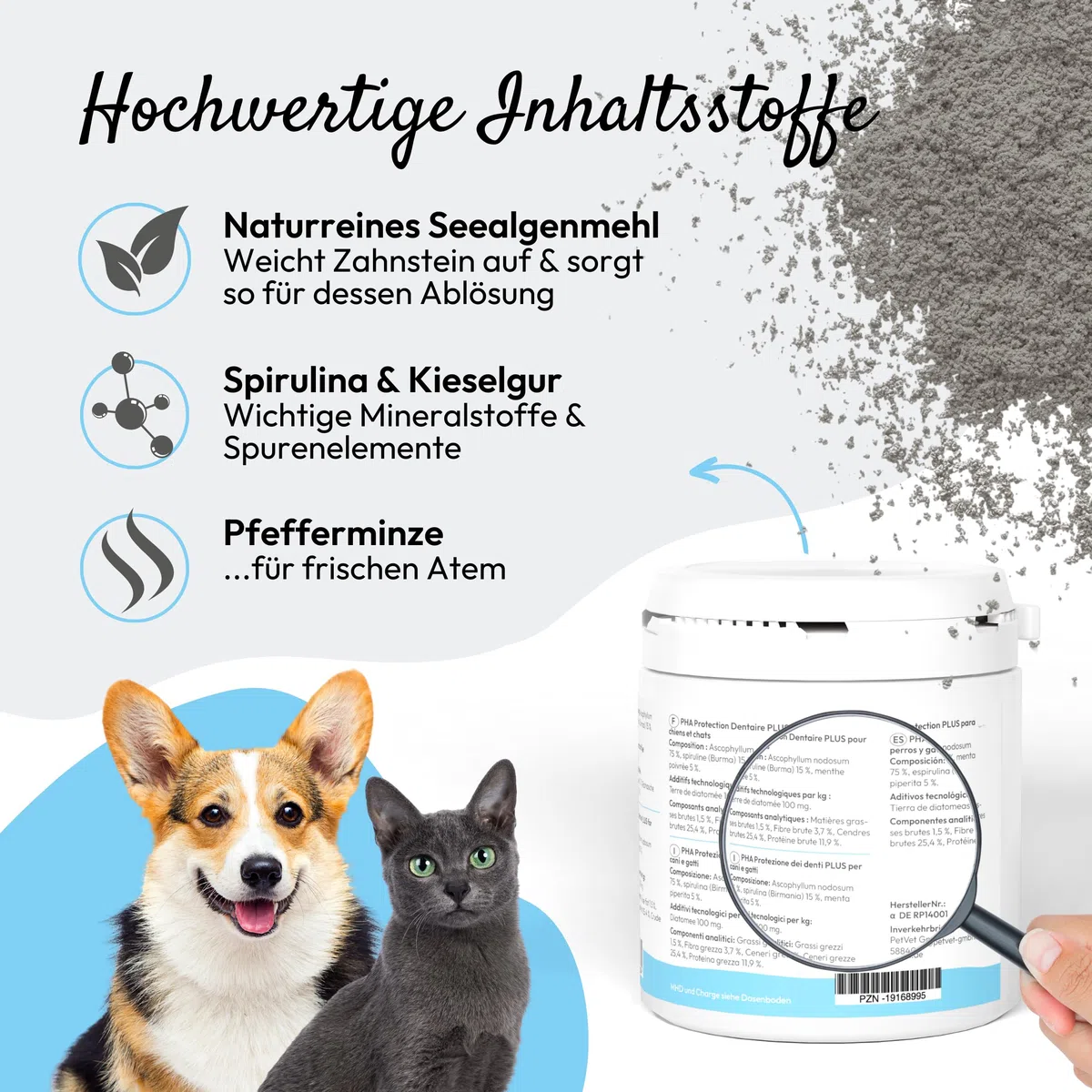 PHA - Protezione dentale Plus per cani e gatti supporta la riduzione del tartaro e della placca dentale, previene la loro formazione contro l'alitosi, polvere da 150 g