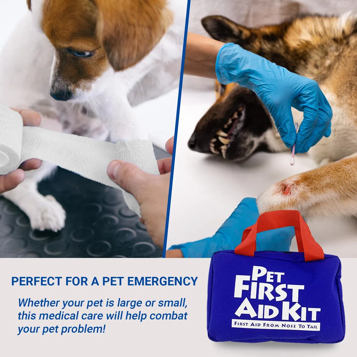 FMJI Kit di Pronto Soccorso per Animali Domestici per Cani e Gatti, 63 Pezzi Borsa di Sopravvivenza di Emergenza per Animali Domestici per Escursioni all'aperto Campeggio Emergencie