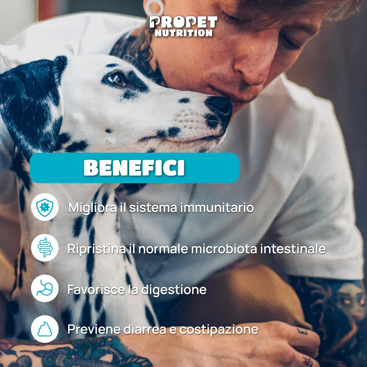 Probiotici per Cani. 10 Miliardi UFC. Probiotici 11 Diversi Ceppi + Prebiotici + Vitamine B Complex. 120 Compresse. Fermenti Lattici Cane. Diarrea Cane. Probiotico Digestivo per Cani