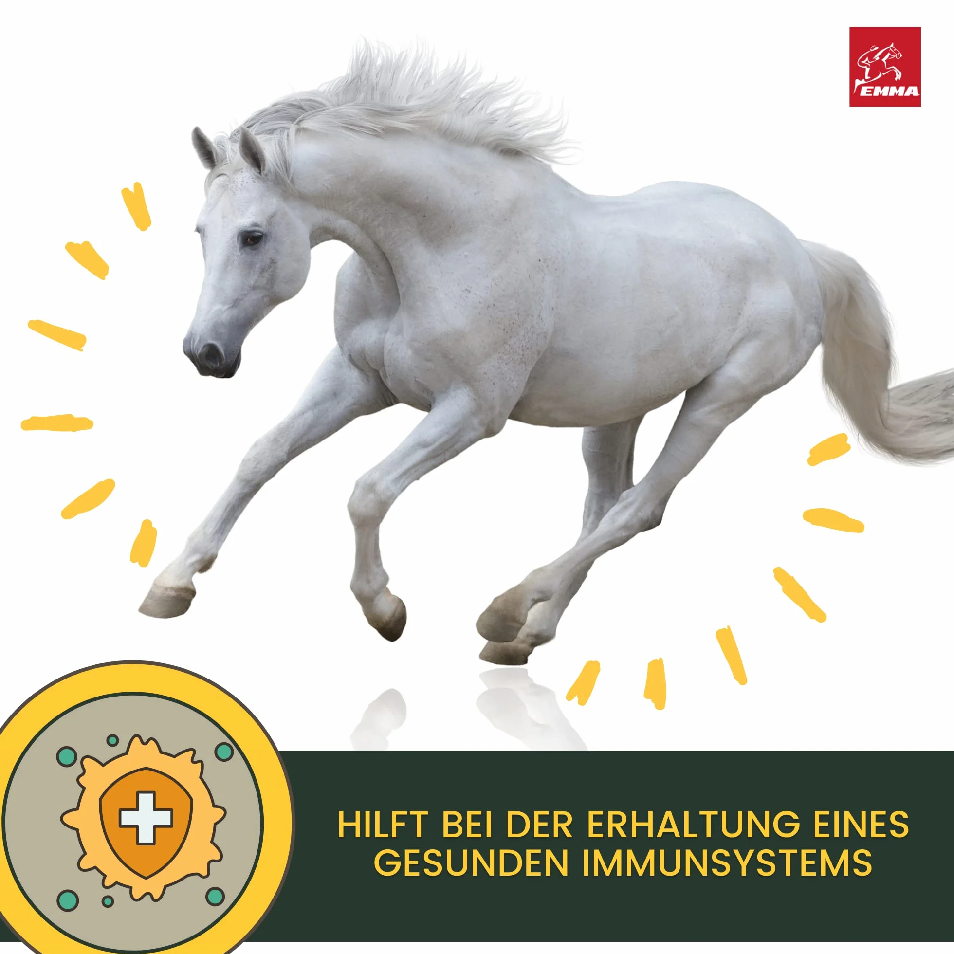 Olio di lino per cavalli e cani mangime per cavalli integratore alimentare I omega 3-6 acidi grassi in olio I spremuto a freddo I vitamine A, D & E I per pelo lucido ed energia I 100% naturale 2,5L