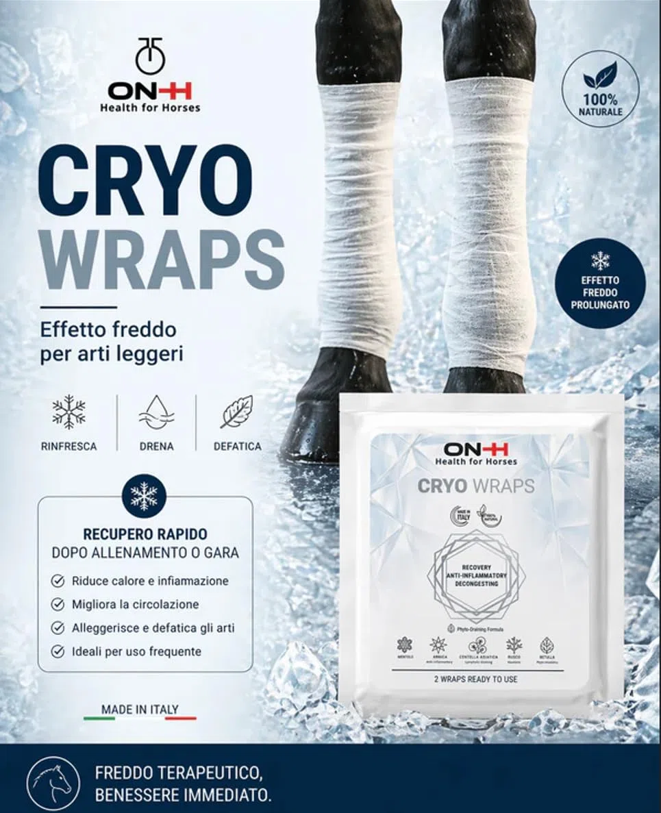ON-H Cryo Wraps Bendaggi Rinfrescanti per Cavalli – Azione Decongestionante e Defaticante Arti – con Arnica, Centella Asiatica, Rusco e Betulla – 2 Bendaggi Ready to Use Made in Italy