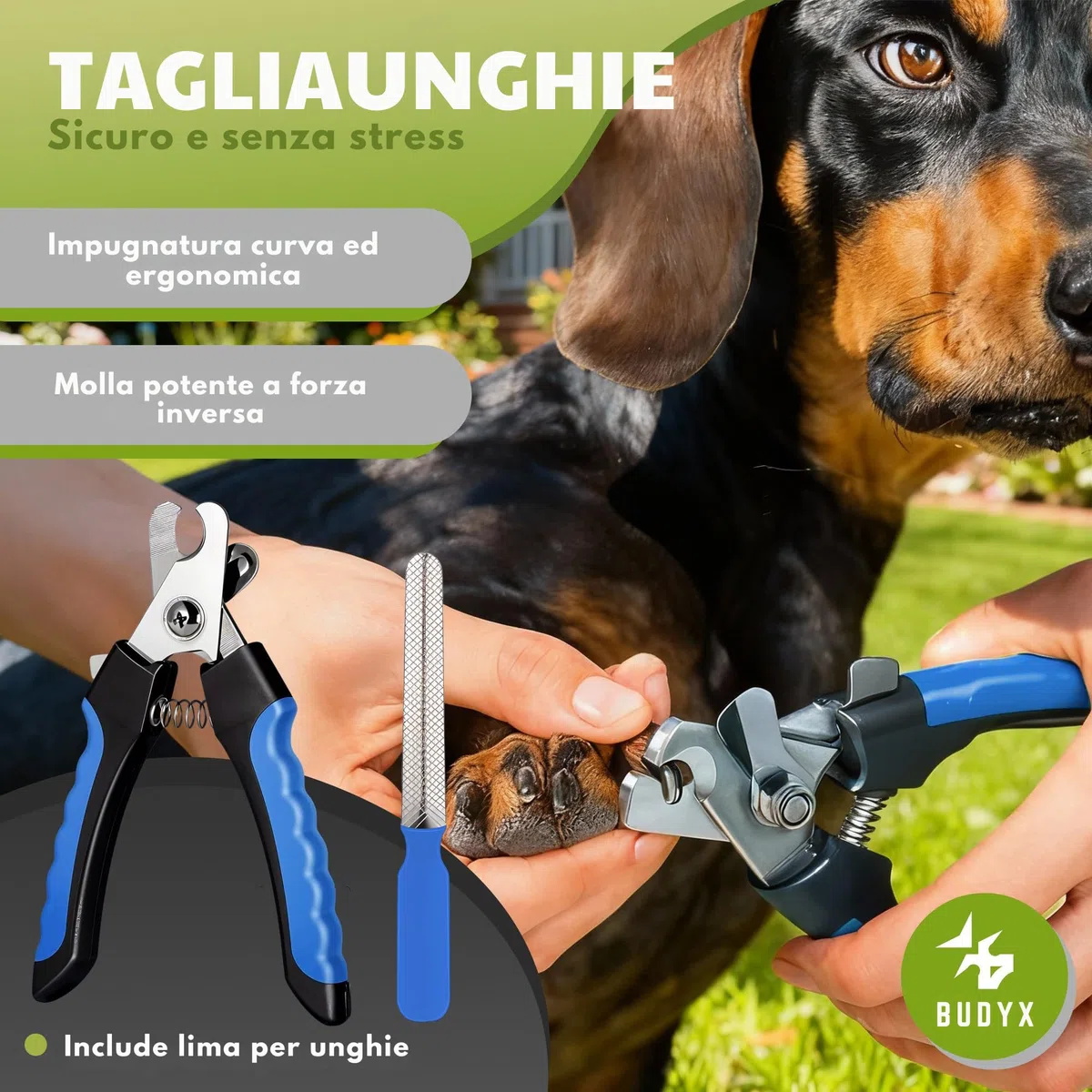 Kit per la toelettatura degli animali domestici BUDYX: pettini, spazzole, guanto per la toelettatura, tagliaunghie, lima per unghie, spazzolino da denti. Set per la toelettatura e l'igiene di cani
