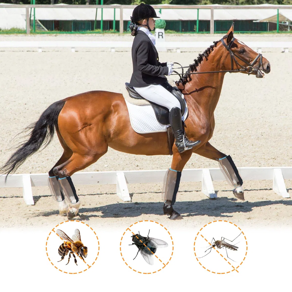 Stinchiere Cavallo Equitazione, 4 Pezzi Stivale Antimosche per Cavalli Leggings Antimosche in Rete per Cavalli professionali design traspirante Anti-Mosche Accessori per Cavalli