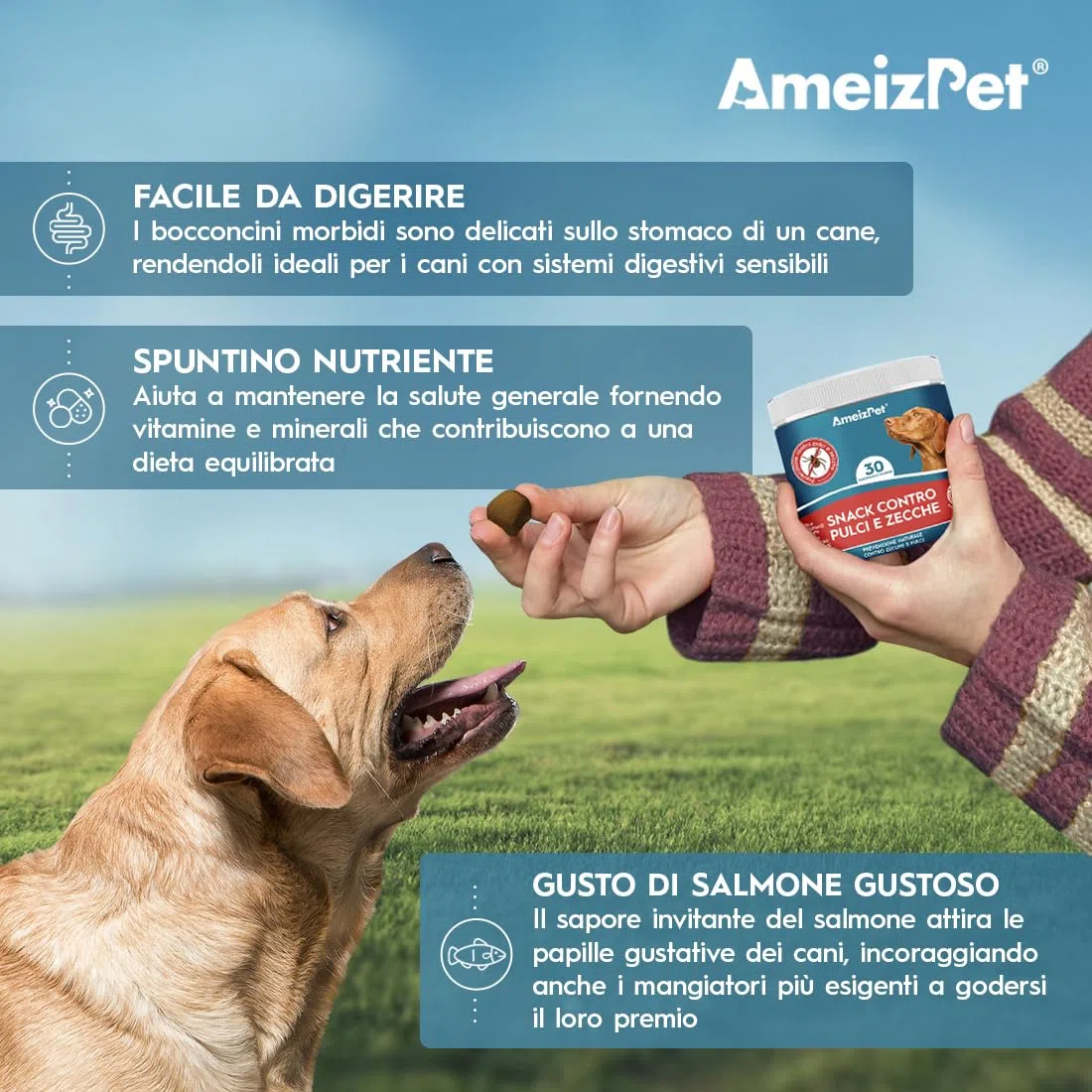 AmeizPet Pastiglie Per Cani Antipulci E Zecche, Antipulci Per Cani, Compresse Masticabili Contro Le Pulci, Cuccioli E Cani Adulti, 30 Dolcetti, 67.5g (2.3 Oz)