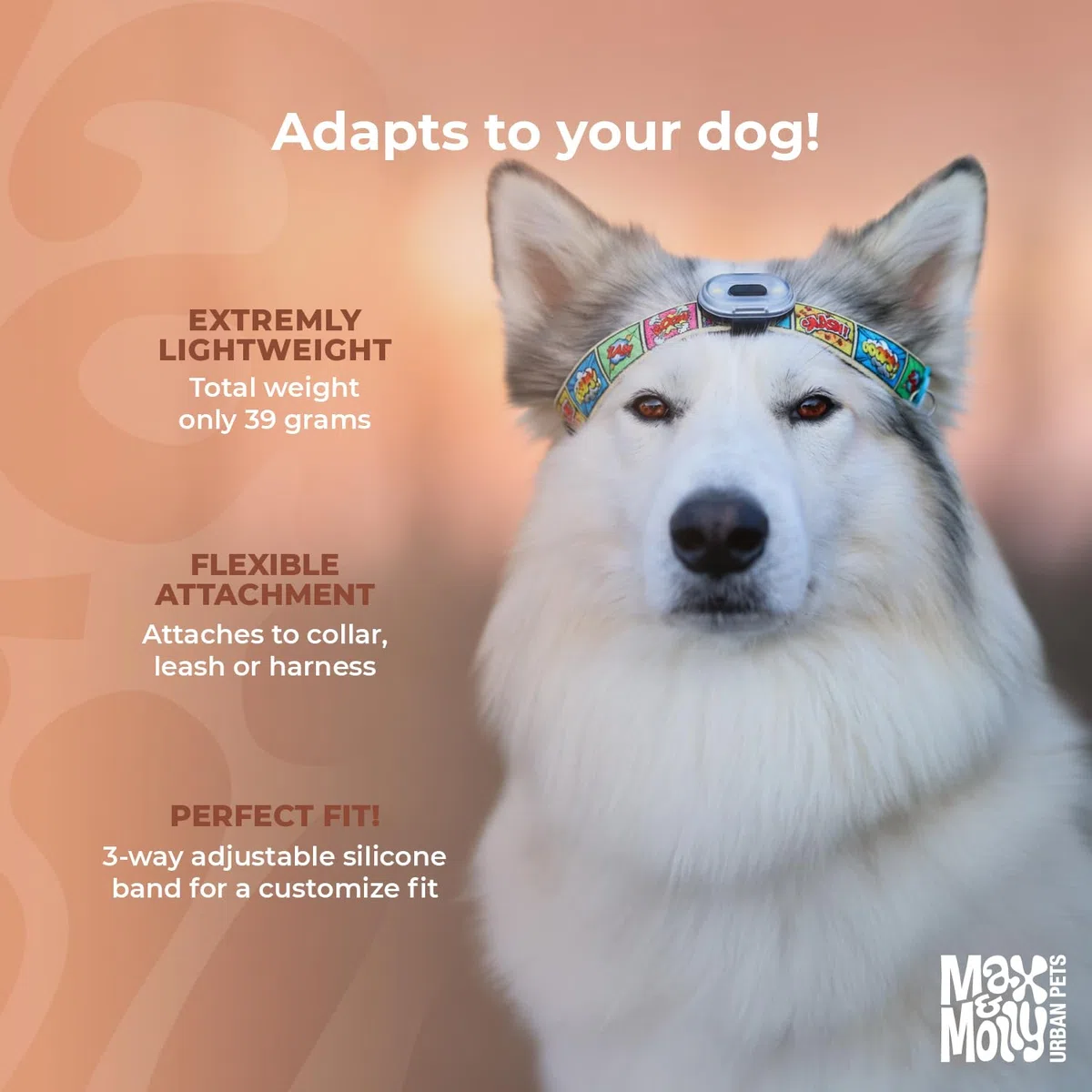 Max & Molly Matrix 2.0 Ultra LED, Luce per Cani per Guinzaglio e Collare, Nero, Impermeabile, Ricaricabile USB, Lampada LED per Cani, Luci per Cani per Maggiore Sicurezza Notturna