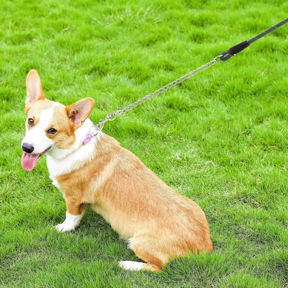 Mihachi Guinzaglio per cani anti morso - Guinzaglio resistente in corda con catena anti-morso e morbida impugnatura imbottita, guinzaglio forte senza grovigli con fili riflettenti, verde