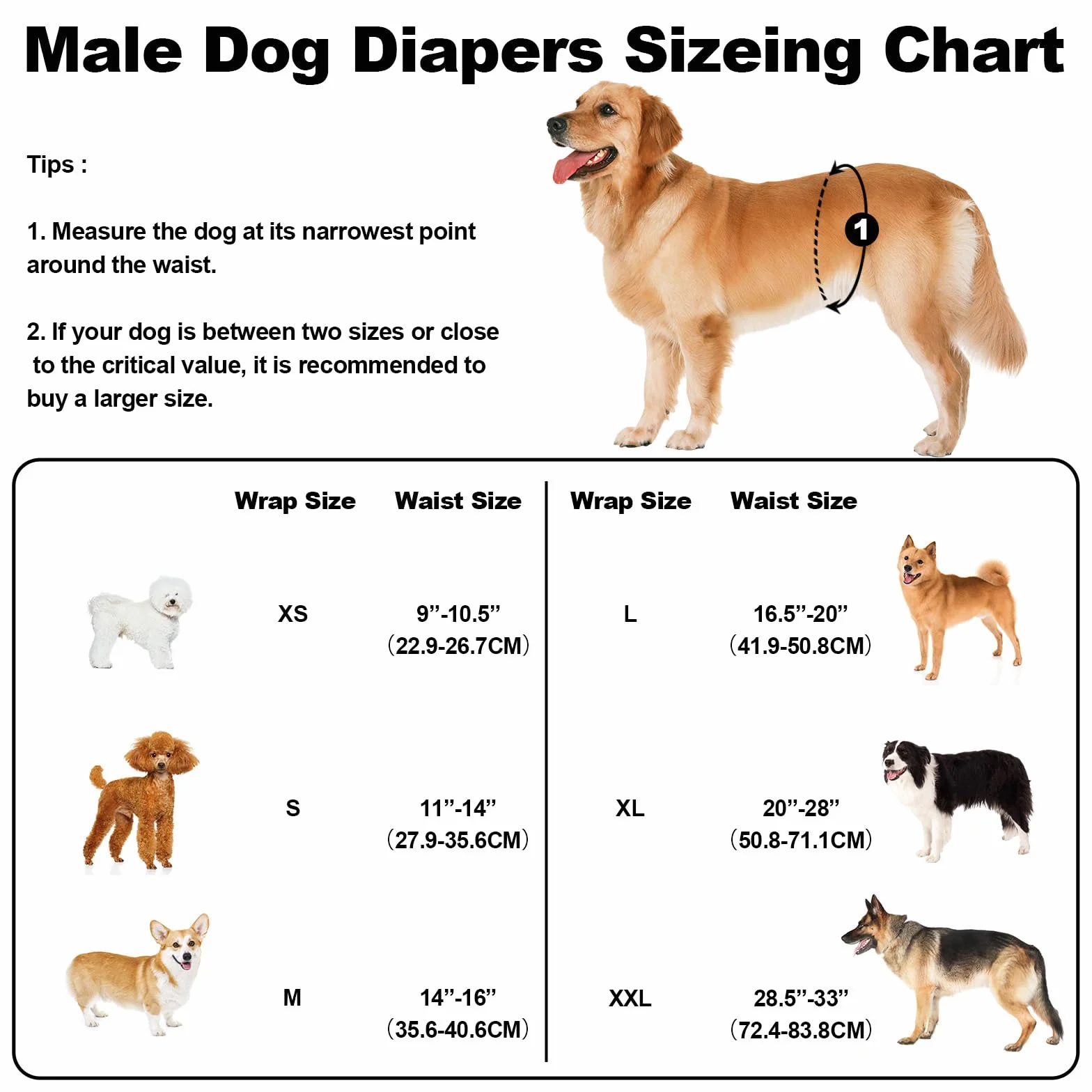 Pannolini lavabili riutilizzabili per cani maschi, confezione 3 pz. Fasce pancia premium, fasce per pipì XL altamente assorbenti, per cani incontinenti o in addestramento.