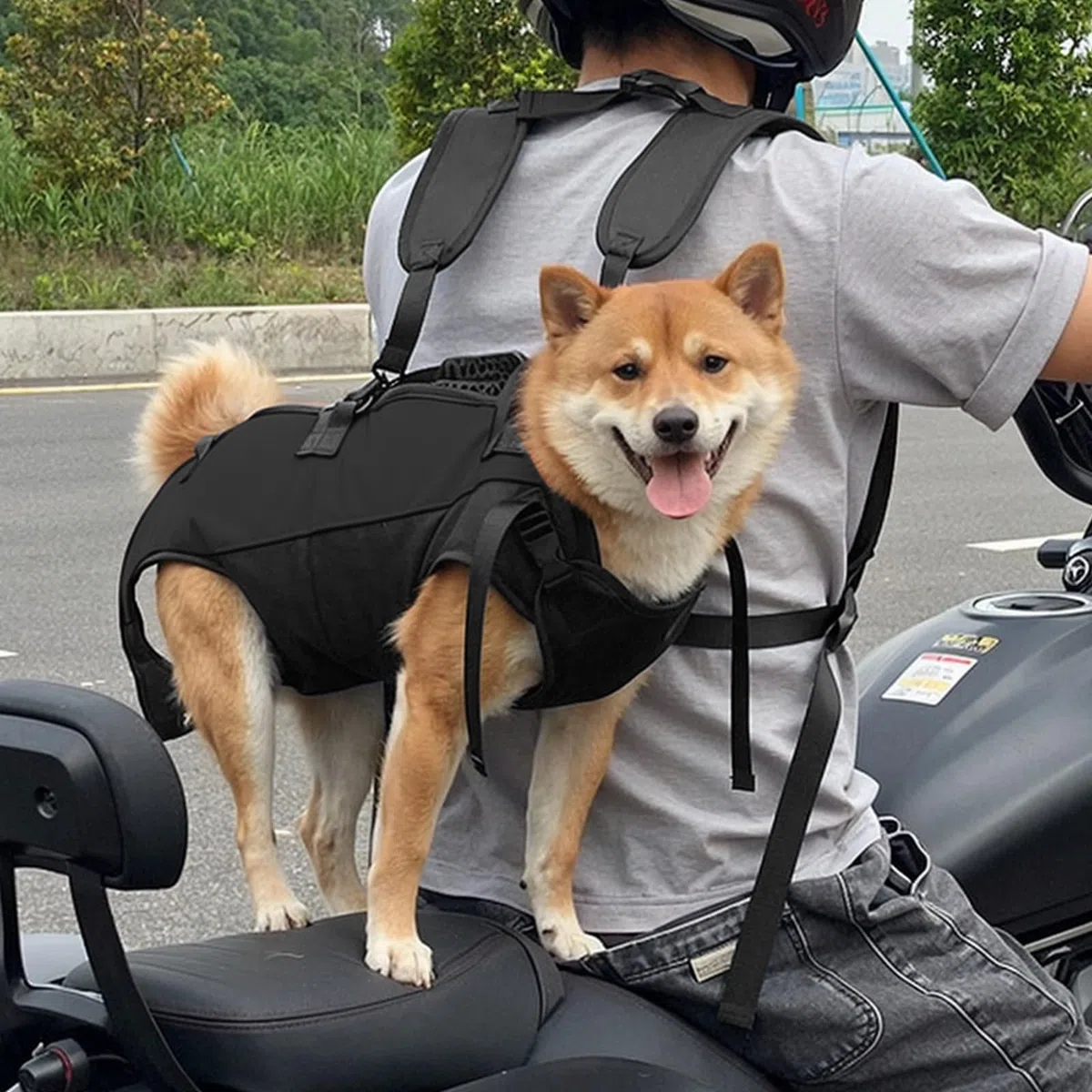 Zaino per Trasporto Cani, Imbracatura per Sollevamento Cane con Maniglia, Trasportino per Scale per Cane, Imbracatura per Recupero per Cani Anziani Feriti Disabili (L)