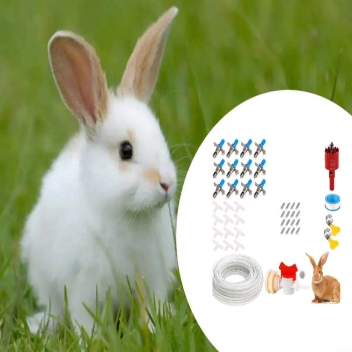 Fontana automatica per conigli, con doppio ugello a molla, per conigliera, gabbia, sistema di idratazione per animali domestici, colore blu (set da 24 pezzi)