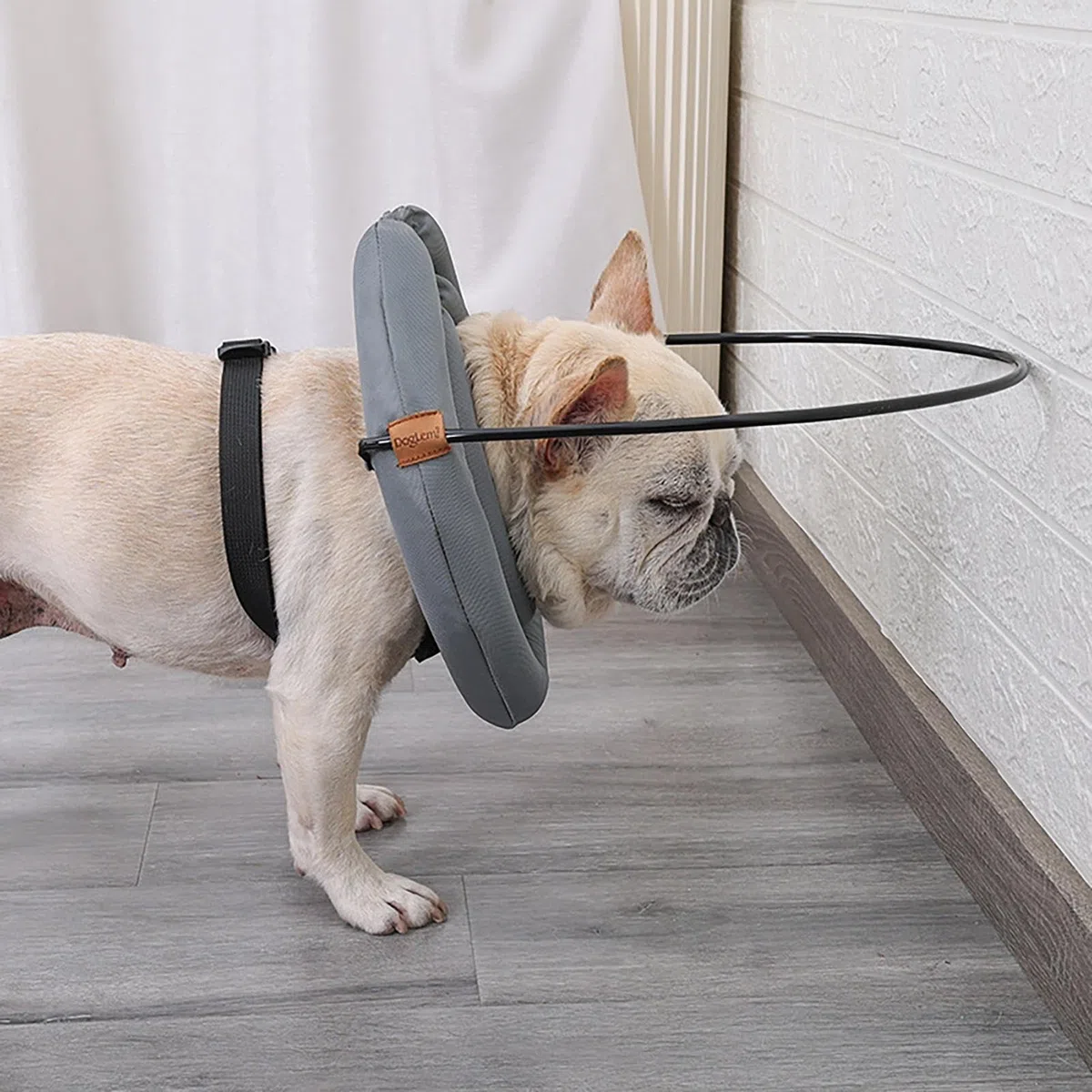 Dispositivo di guida per cani ciechi anelli di collisione per animali domestici | Collare regolabile anti-collisione per animali domestici, protezione degli occhi forniture per cani, collare paraurti