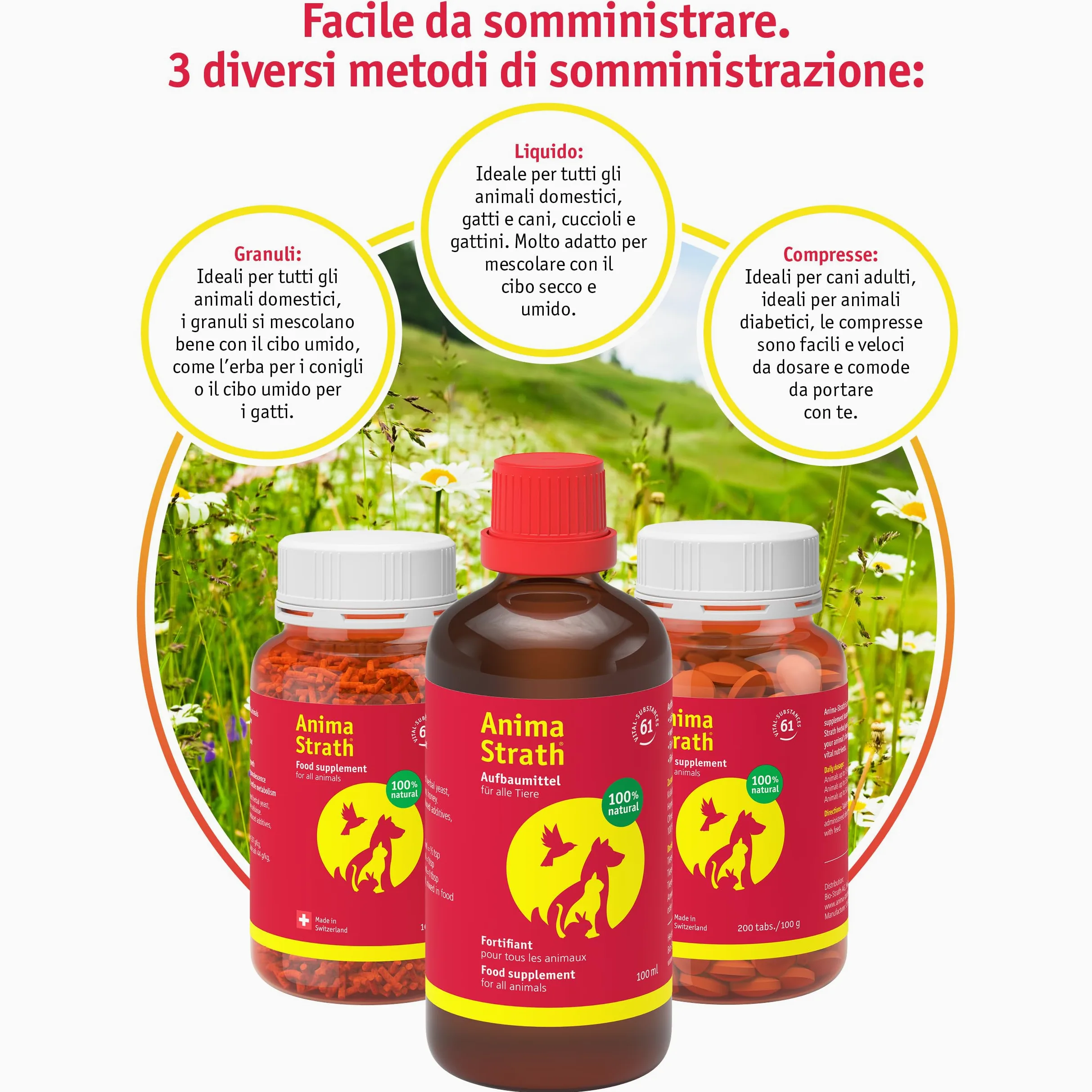 Anima Strath Integratore Tavolette per Cani - (80 Compresse) 61 Nutrienti, Vitamine, Minerali, Aminoacidi, Integratore Naturale per il Sistema Immunitario e la Digestione.