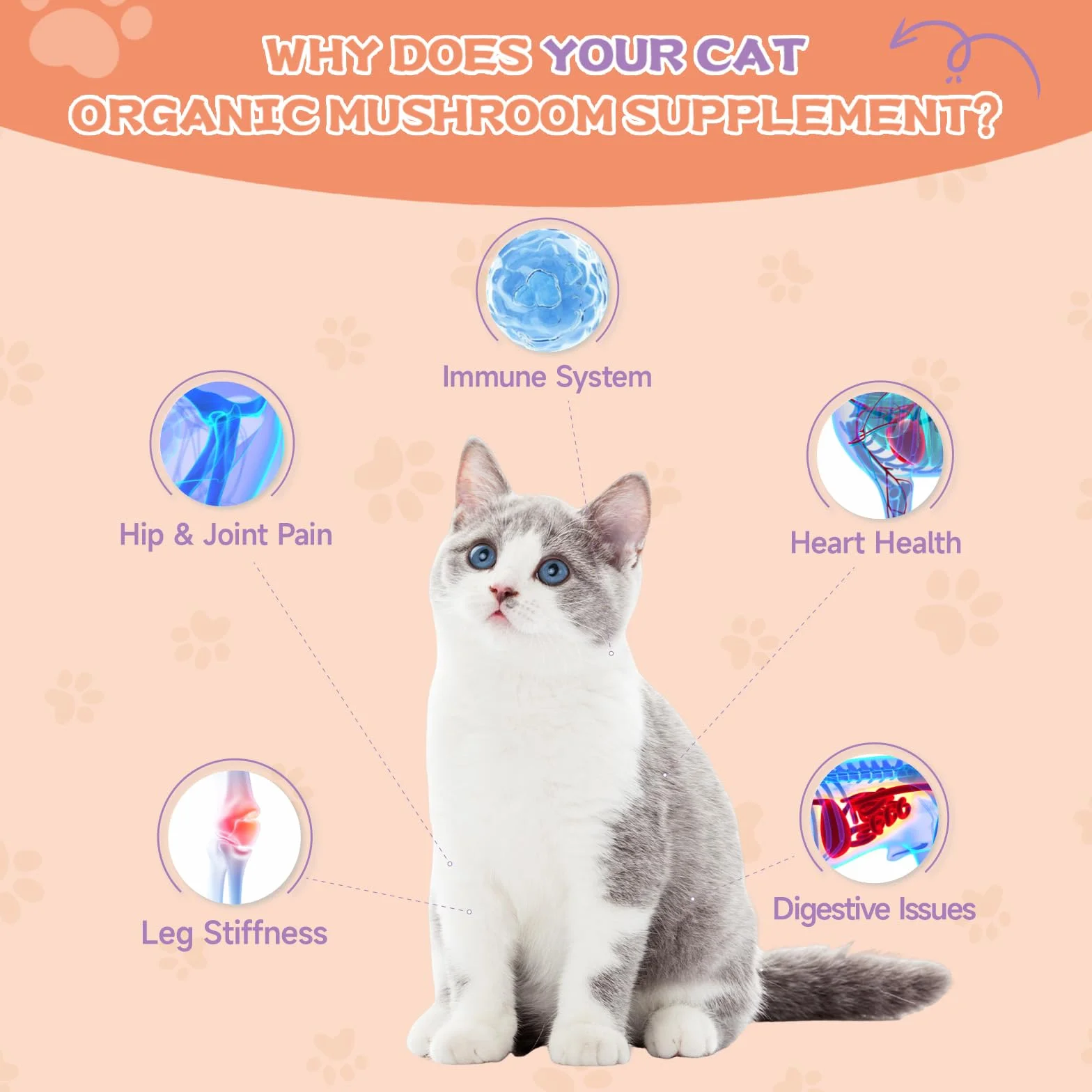 Collagene per Gatti - Gocce di Collagene per Gatti - Integratore Articolare per Gatti - Supporta Pelle e Mantello, Digestione e Sistema Immunitario - con MSM, Acido Ialuronico, Taurina - 60ML