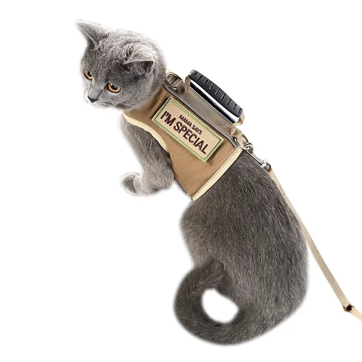 Pettorina tattica per gatti e guinzaglio per camminare, a prova di fuga, regolabile, imbottita, elegante, kaki, L