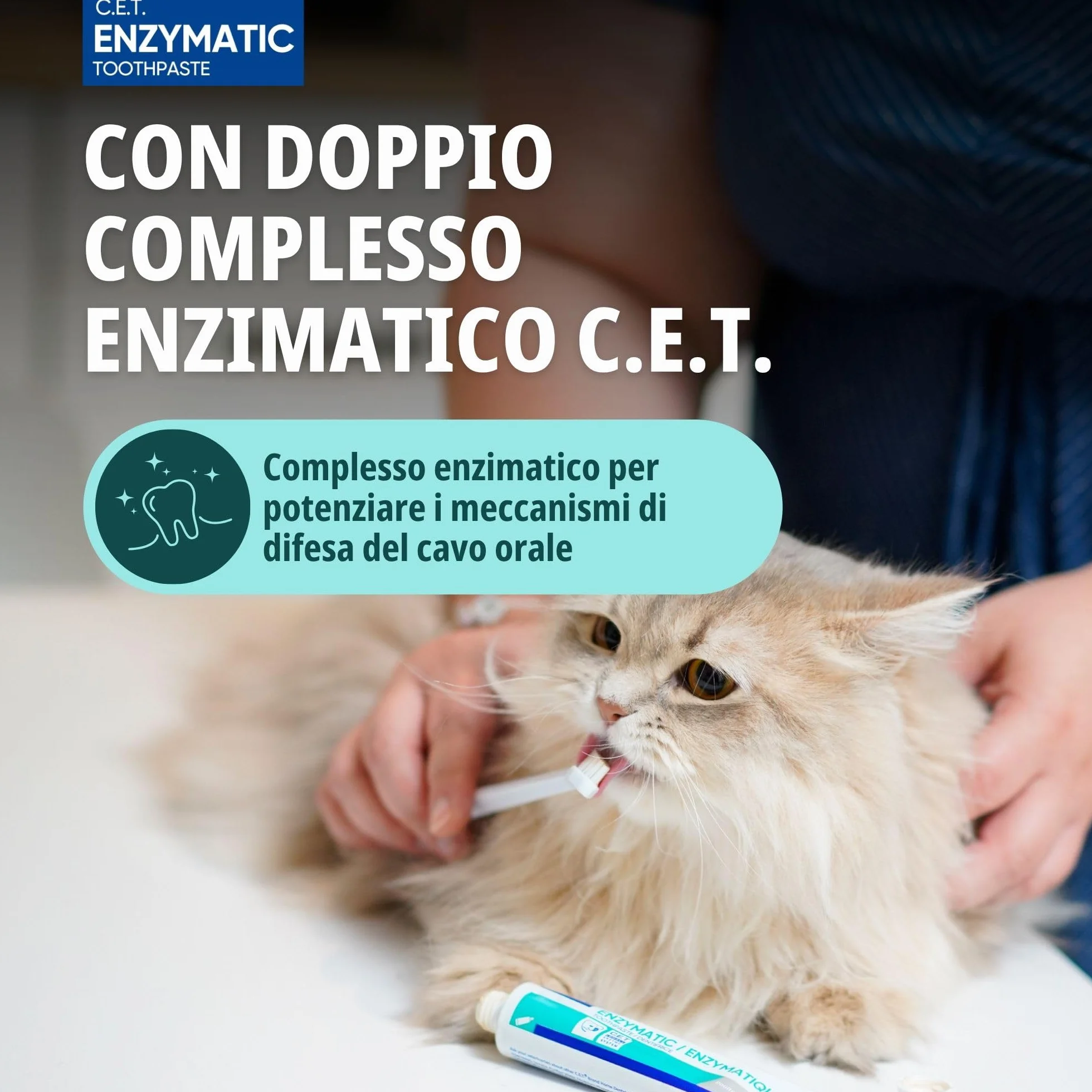 Virbac C.E.T. Dentifricio | 70 g | Con Aroma di Pollo per Cani e Gatti | Sistema C.E.T. Brevettato