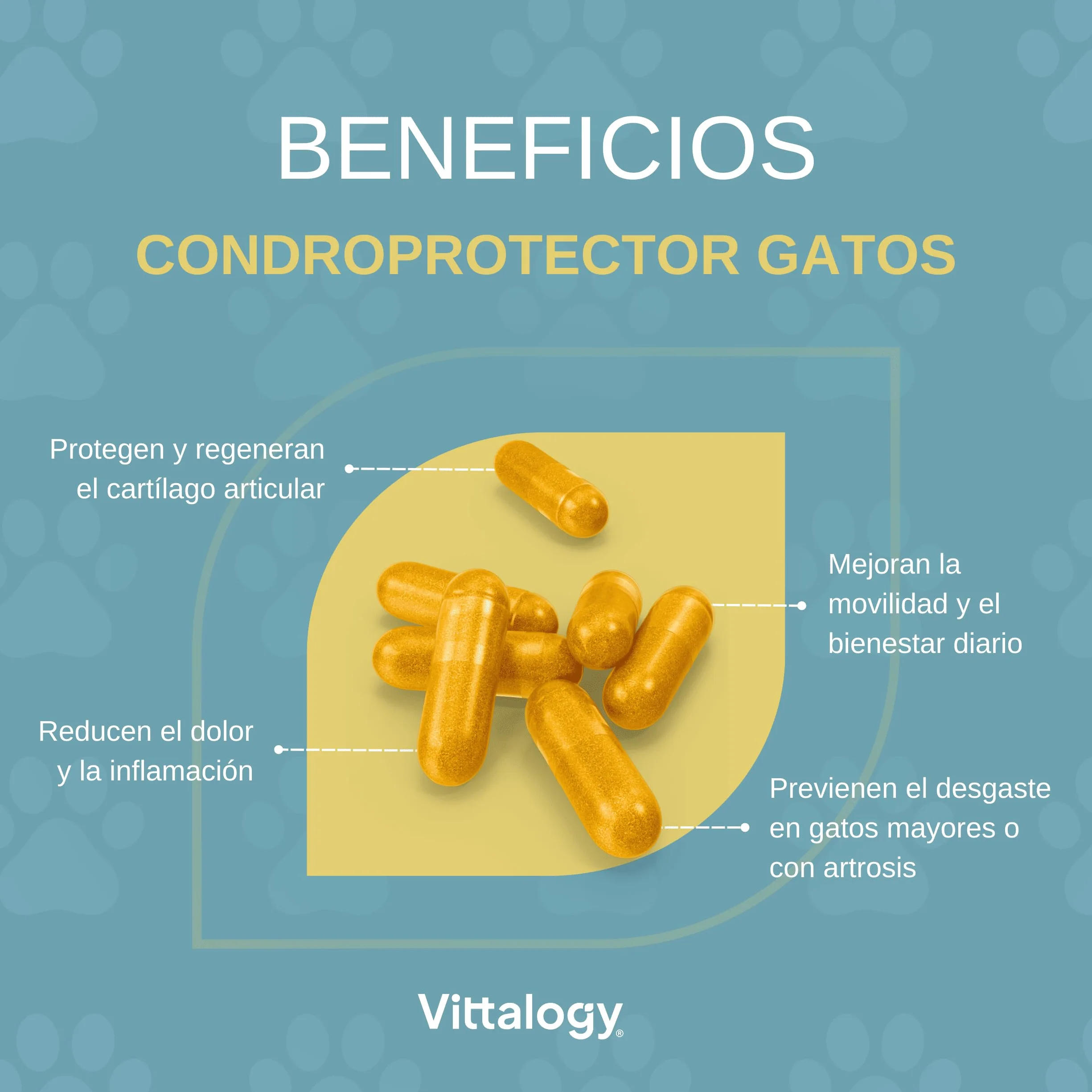 Condroprotettore per gatti. Antinfiammatorio naturale con collagene, condroitina, ialuronico e curcuma. Integratore alimentare per fianchi, articolazioni e cartilagini - 120 capsule