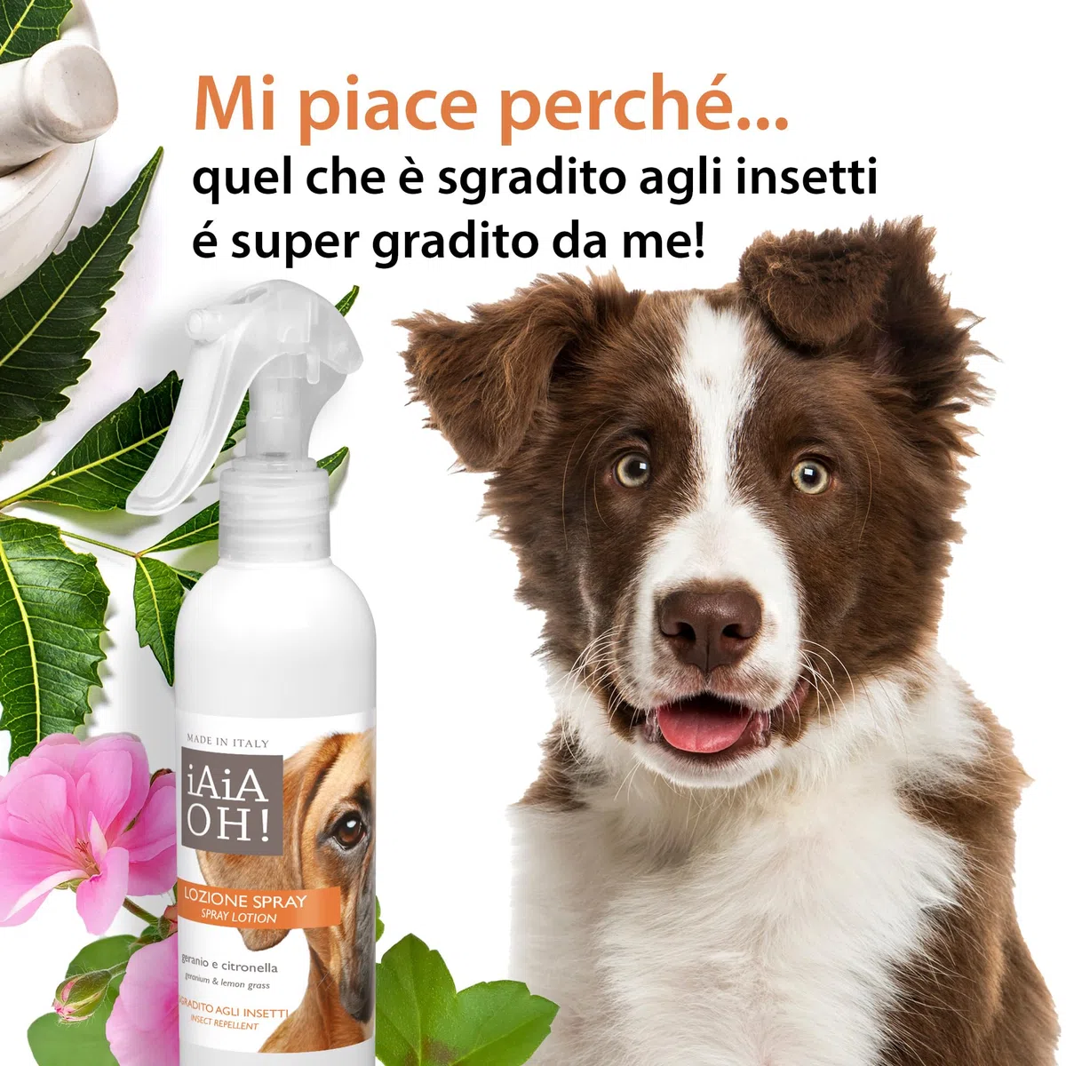 ERBORISTERIA MAGENTINA - IAIAOH! CANE LOZIONE SPRAY GERANIO CITRONELLA 250 ML insettorepellente