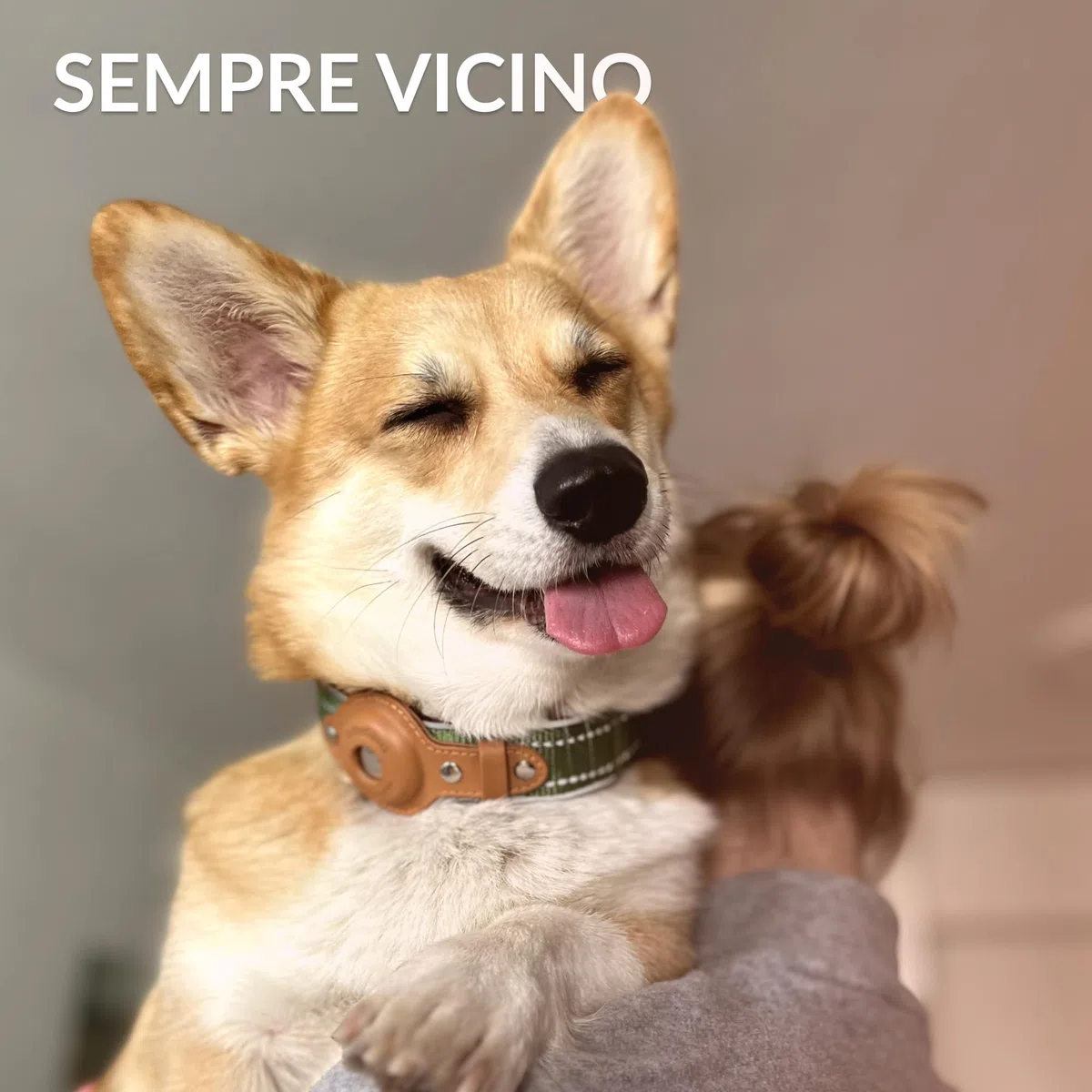 Collare Airtag cane, CollarDirect, Collare riflettente per Apple Air Tag per cani di taglia grande, media e piccola, Verde, Taglia L