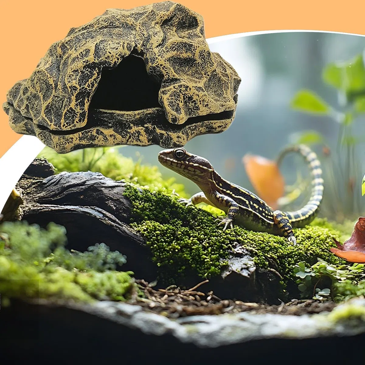 Tana Per Rettili | Roccia Finta in Resina Caverna per Drago Barbuto per Terrario | per Acquario Paesaggio Zona per Prendere il Sole Decorazione per Tartarughe d'Acqua Gamberi Granchi