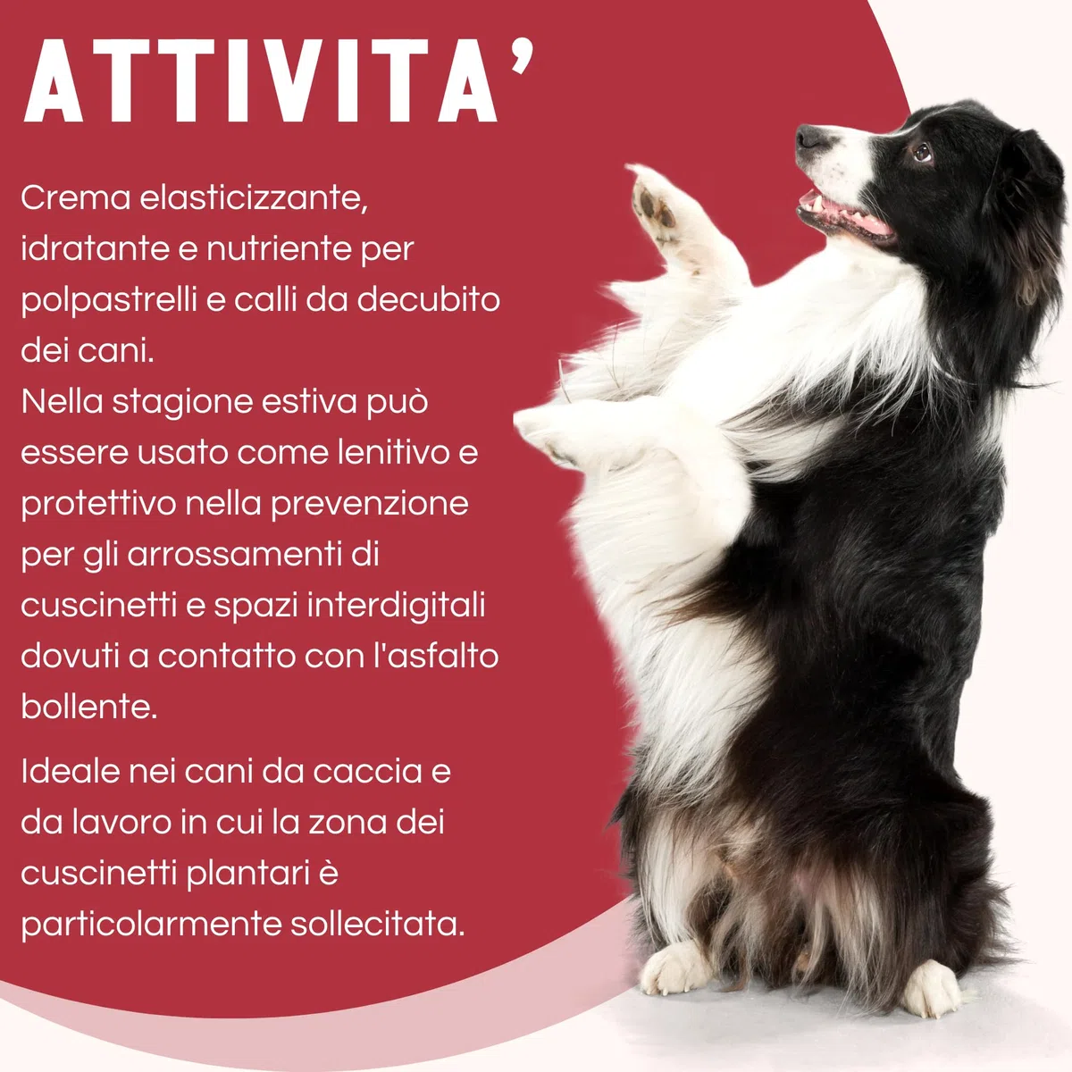 Dermorex Pad Strong Cream - Crema per Polpastrelli Cani - Nutriente ed Elasticizzante - 100 ml con Spugnetta - Con Lanolina, Vaselina e Cera d'Api - Per Calli da Decubito