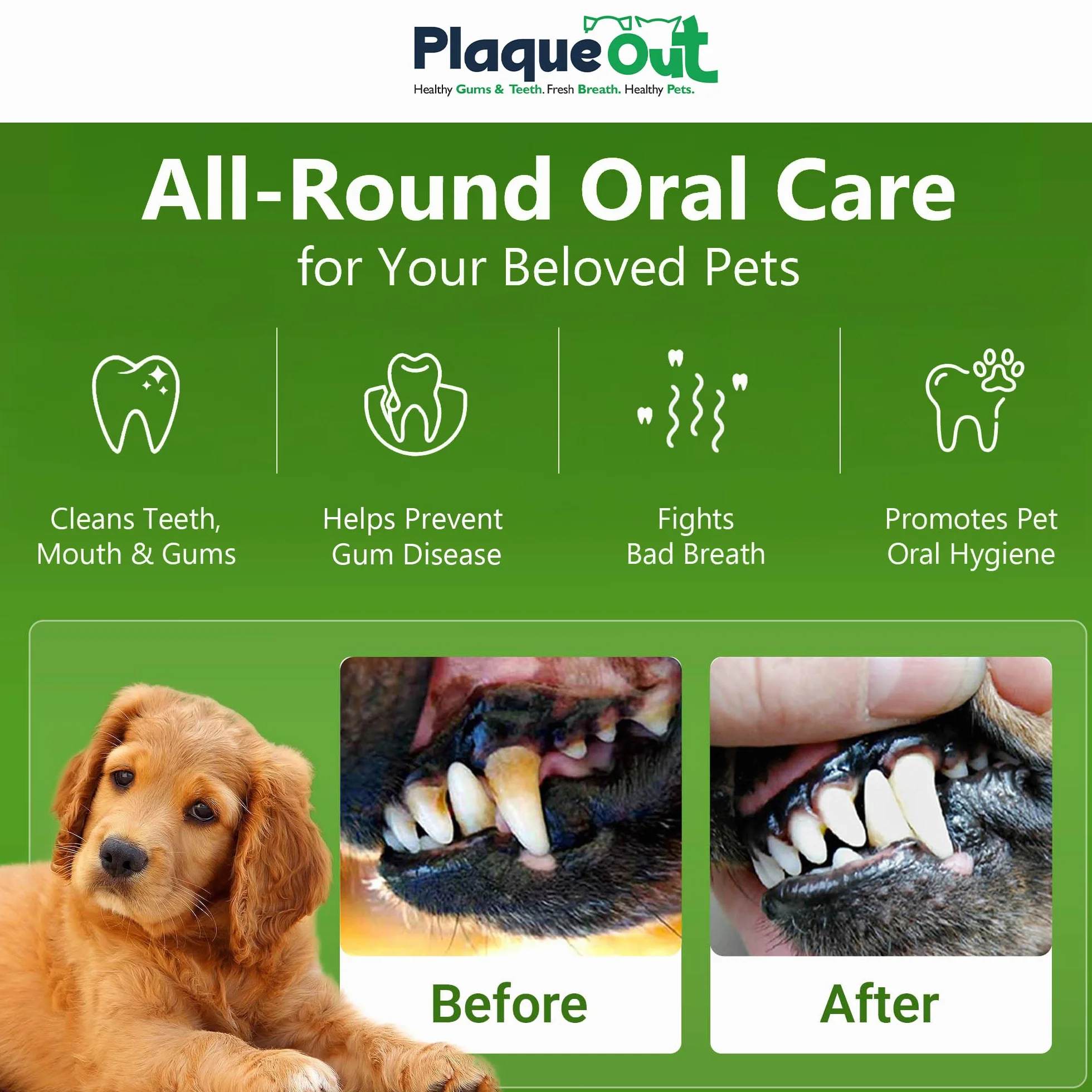 PLAQUE OUT 450G Pouch Tartaro Placca Off Remover, Alito Cattivo Denti Gum Care per Cani, Gatti 100% Biologico