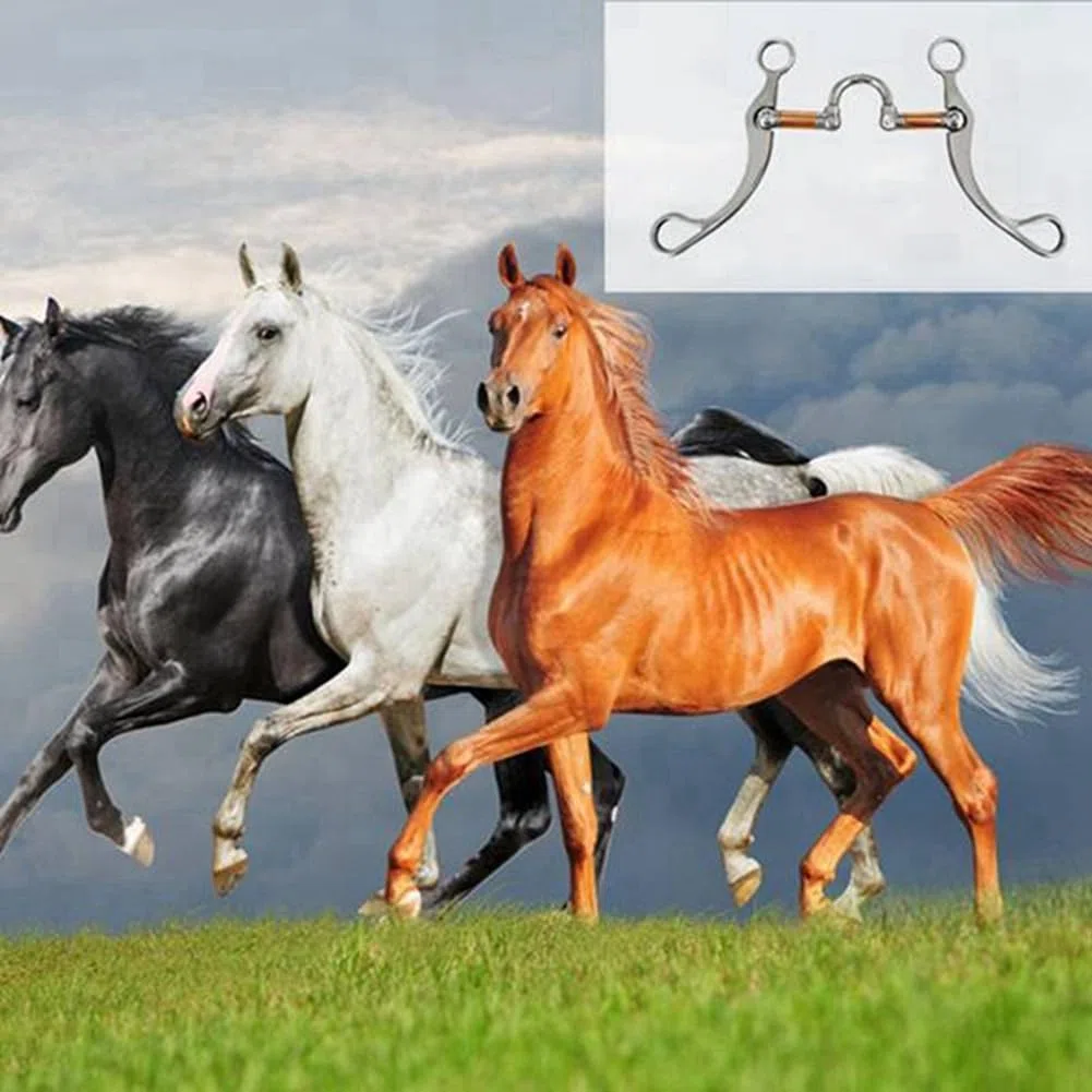 Anneth Snaffle Bit Horse Bits in Acciaio Inossidabile Western Snaffle Bits per Bocca da Addestramento con Porta in Rame