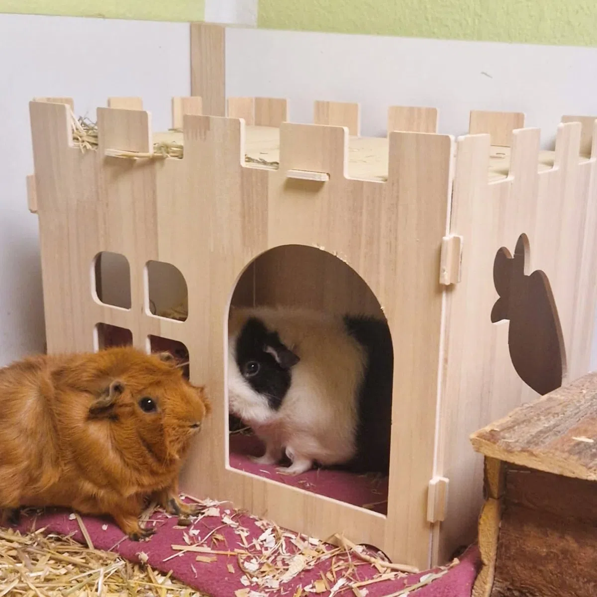 Grande Casa per Conigli: Grande Casa per Piccoli Animali, Casetta in Legno per Nascondersi, Ideale per Porcellini d'India, Conigli Nani e Altri Roditori (40 * 30 * 30cm)