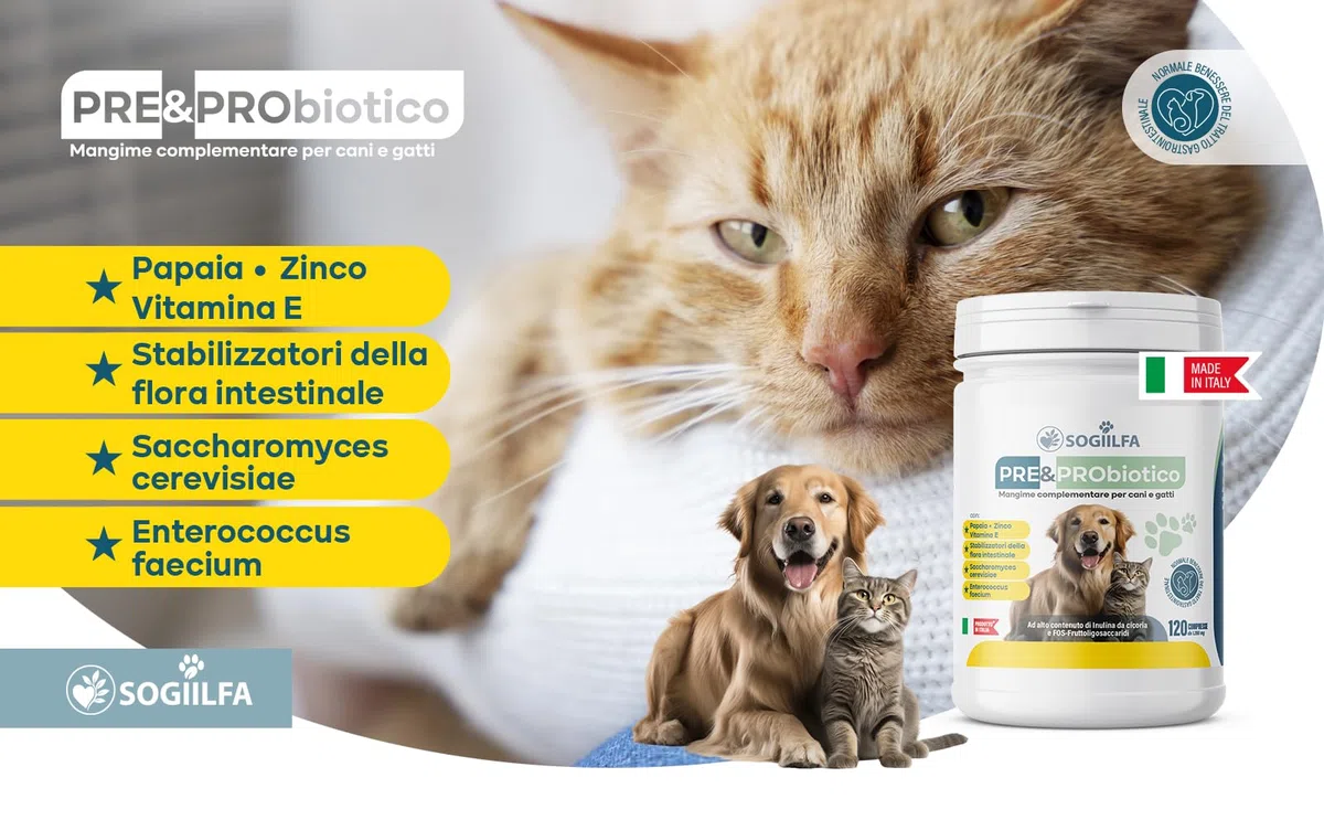Fermenti lattici cani 120 pz probiotici per cani e gatti, probiotici per intestino con Enzimi digestivi vivi.Probiotico per cani e gatti naturale rilassante. Pastiglie cane per prurito e dermatite