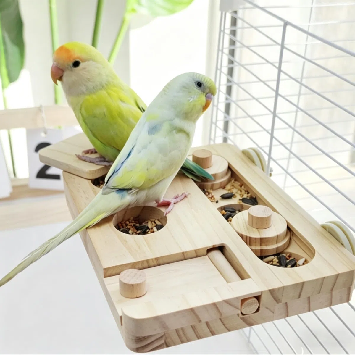Giocattolo Interattivo per Pappagalli, Giocattolo in Legno per Criceti 6 in 1, Giocattoli per Roditori, Giocattoli Puzzle per Foraggiare in Legno per Pappagalli, Adatto ad Uccelli, Criceti e Simili