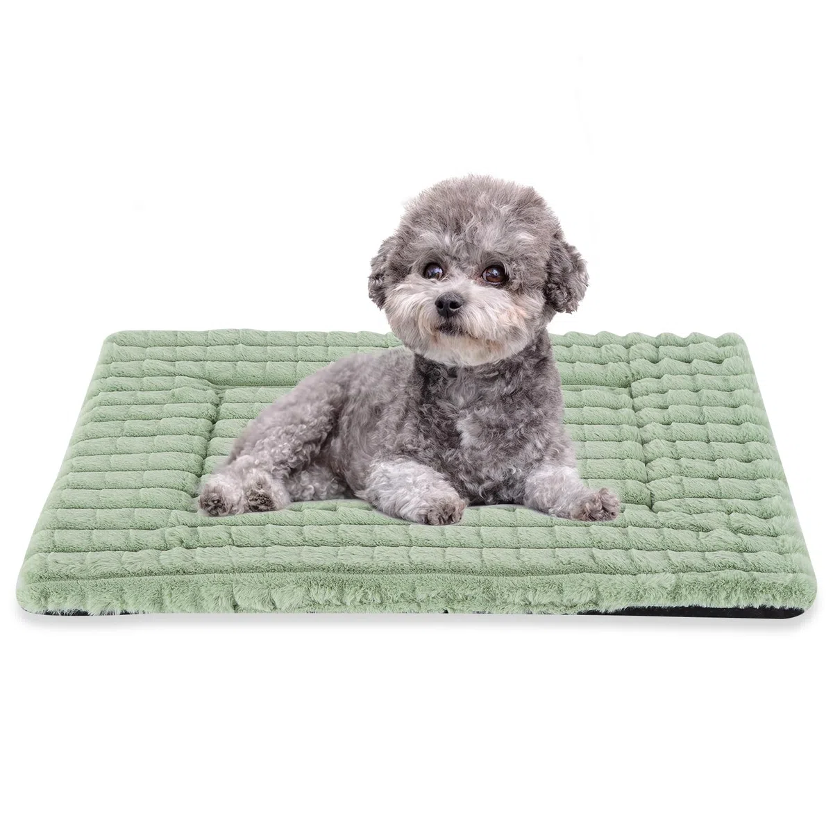 BVAGSS Cuscino per Cani, Ultra Morbido Materassino Lavabile per cani, Base Antiscivolo,Ortopedico Letto per cani Cuscino Cane XH082 (75x50cm,Verde)
