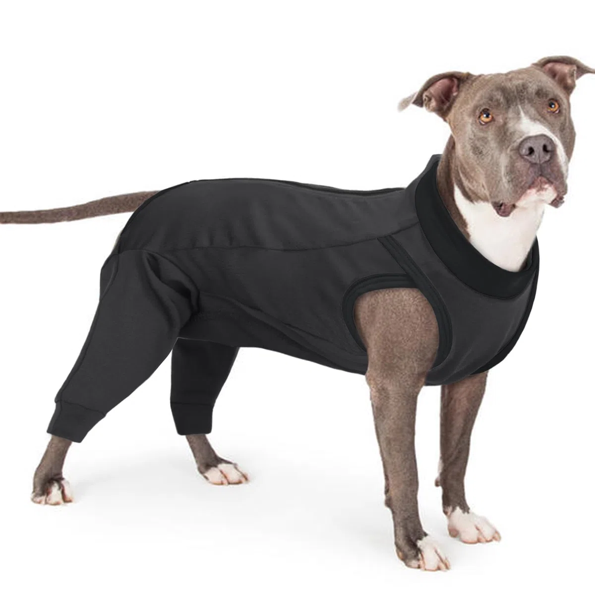 PUMYPOREITY Tuta da Recupero Cani, Body Cane Posteriore Manica Recupero Cani Body Chirurgico Cane Femmina Maglia per Cani Post Operazione Protettivo per Recupero Postoperatorio(Grigio, XL)