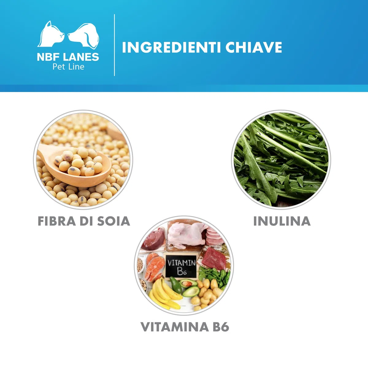 NBF Lanes | Fibra Pet Cane e Gatto, 50 Compresse Appetibili, per la Normale Funzionalità Intestinale
