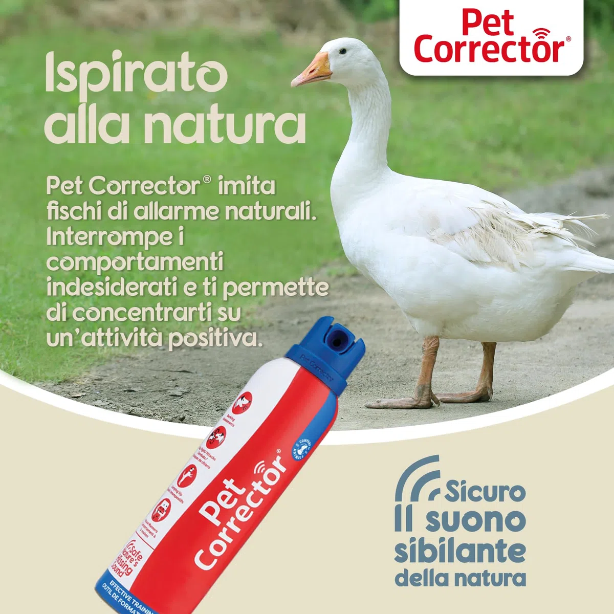 Supporto all'addestramento Pet Corrector - aiuta a correggere comportamenti indesiderati come abbaiare, saltare, rubare il cibo, rovinare i mobili e azzuffarsi con altri cani. Umano, sicuro, efficace.