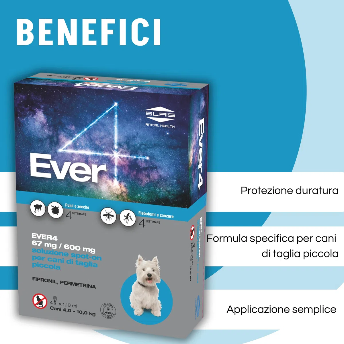 Ever 4 Pipette Antiparassitario Cani S (4-10 KG) - Spot-On per Pulci, Zecche, Flebotomi, Zanzare - Protezione Completa - Fialetta Antipulci Cane