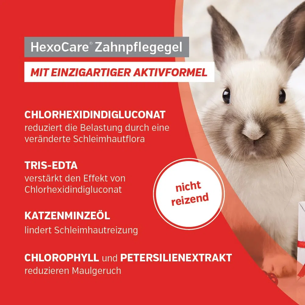 Alfavet HexoCare Gel per igiene orale (50 ml) – gel dentale per cani, gatti e piccoli animali – con clorexidina, Tris-EDTA ed erba gatta – cura quotidiana di denti e gengive