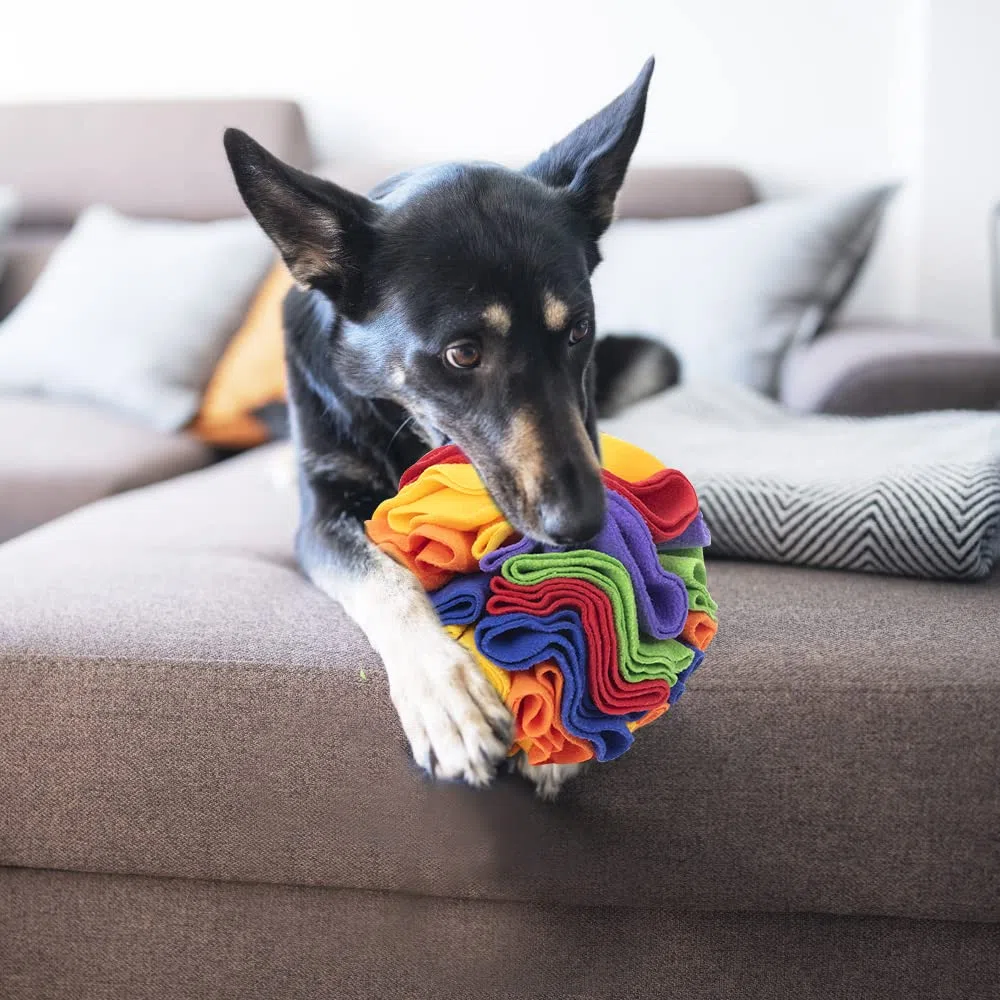 Sniffing Ball per Cani, Tappetino Snuffle Interattivo, Gioco Sfera Puzzle, Tappeto Nascondi Cibo, Addestramento per Cani di Piccola e Media Taglia