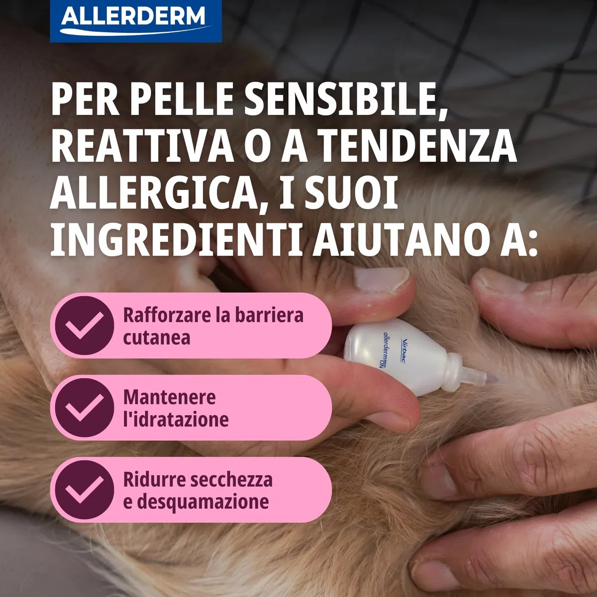 ALLERDERM Spot On (verde ¶ÃŸe : 6x 4 ml), un articolo