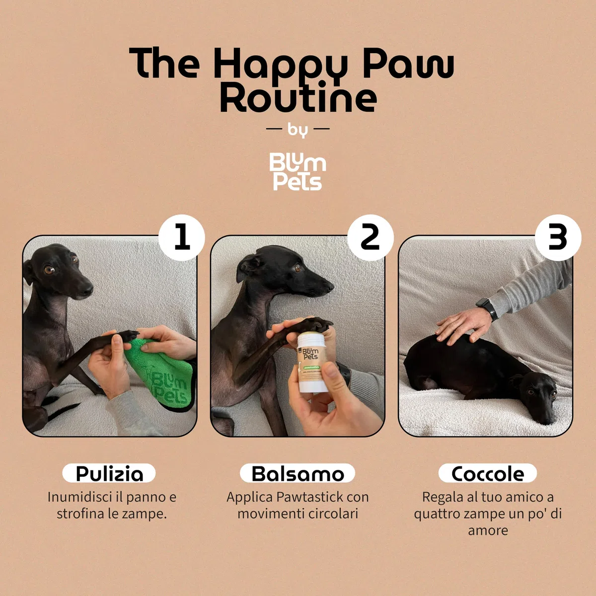 La Routine delle Zampe - Kit Balsamo Polpastrelli Cane in Stick Asciugamano in Microfibra e Astuccio Regalo Vegano Naturale Idrata e Protegge la Pelle Screpolata Sicuro da Leccare