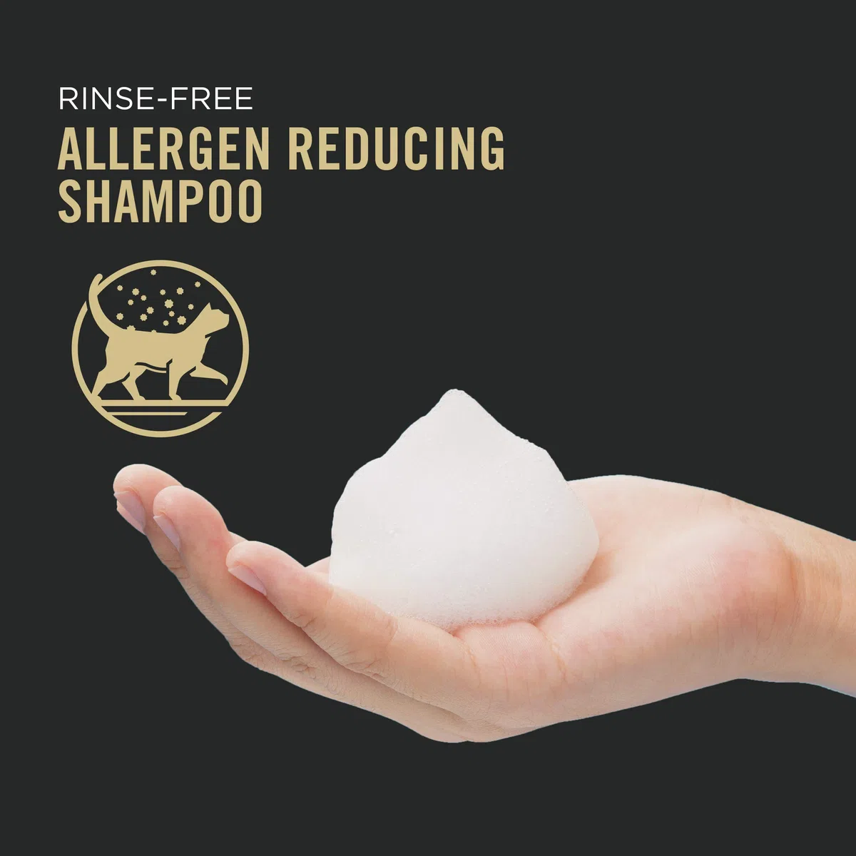 Purina Pro Plan Rinse Free, Allergen Reducing Dry Shampoo for Cats, LIVECLEAR Cleansing Foam - 8,5 oz