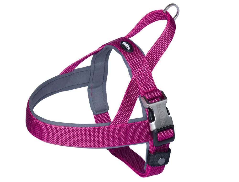 Nobby - Pettorina norvegese Classic Preno Royal, grigio, larghezza: 20 mm; lunghezza: 58-69 cm + 54 cm