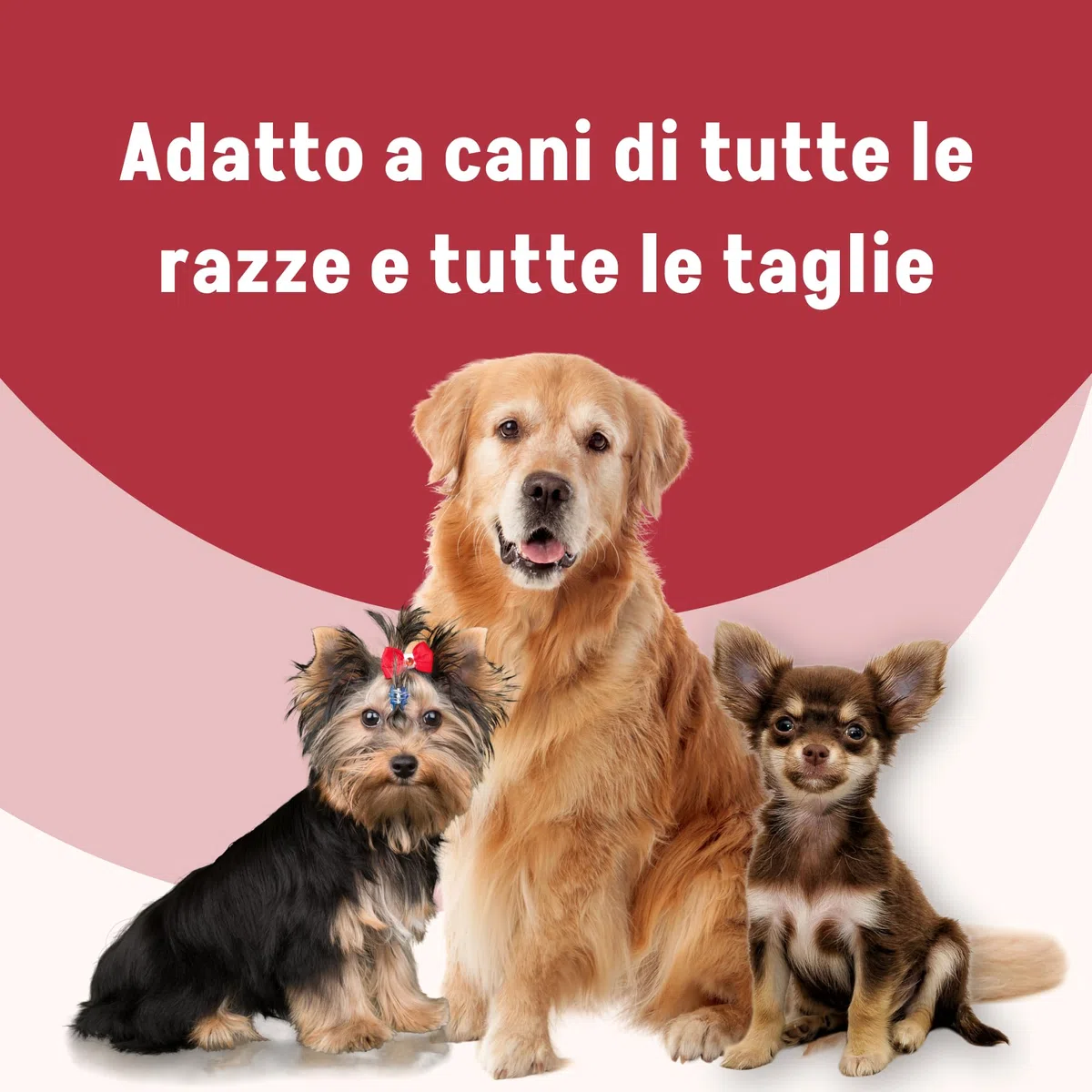 Dermorex Pad Strong Cream - Crema per Polpastrelli Cani - Nutriente ed Elasticizzante - 100 ml con Spugnetta - Con Lanolina, Vaselina e Cera d'Api - Per Calli da Decubito