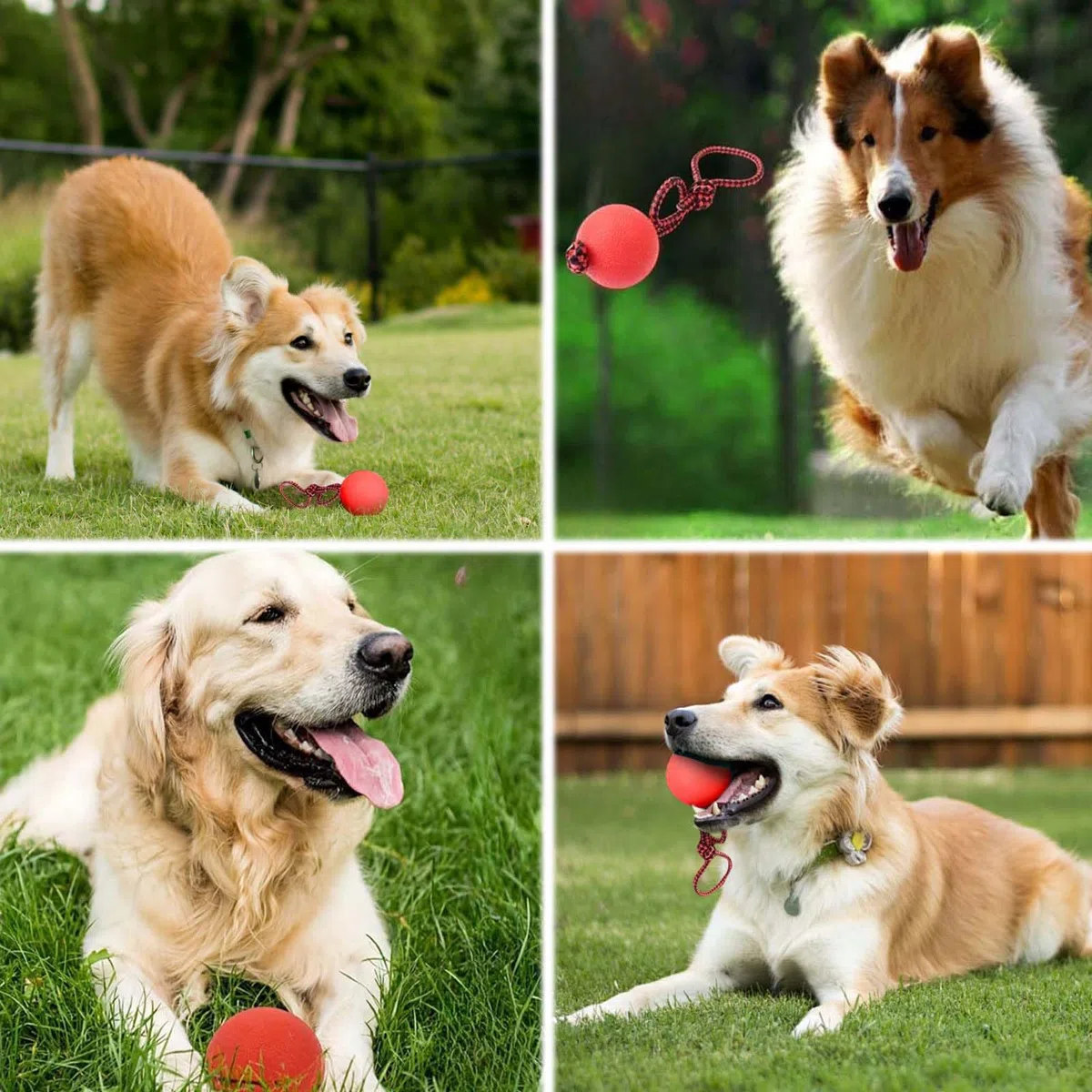 4 Pezzi PallaperCani con Corda,PallaperCane con Corda,Palla da Addestramento Cani e Catti,Pallina in Gomma Naturale,Adatto per l'addestramento e l'allevamento di animali domestici