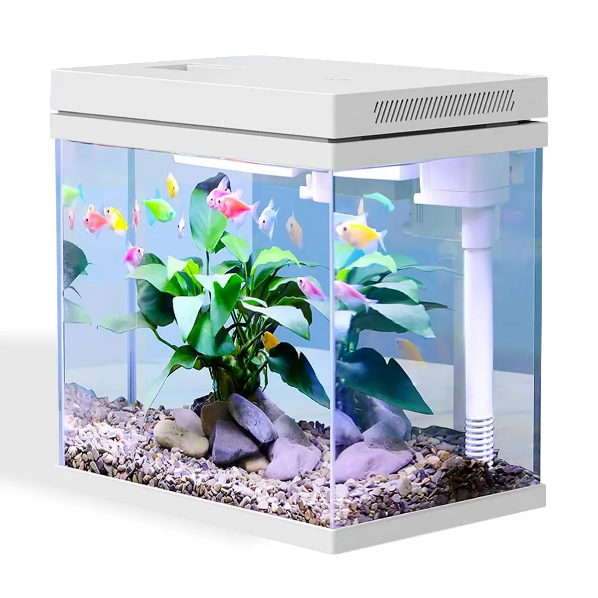 Serbatoio per pesci da 9 l, acquario in vetro nano, sistema di filtraggio migliorato e luce LED, per acqua dolce e marina, sfere filtranti incluse (bianco, 9L)