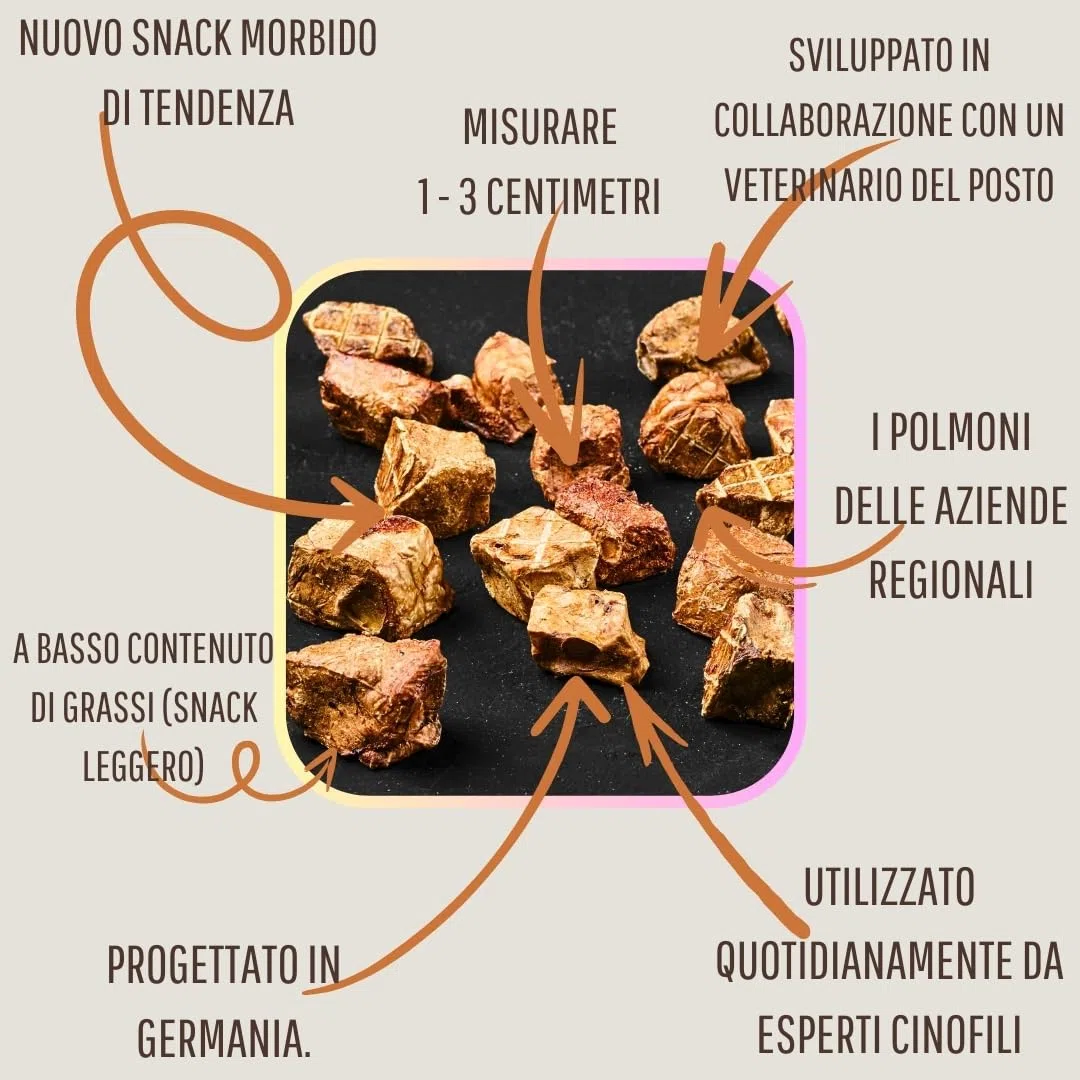 WEPO Deliziosi per cani – 1 kg di polmoni bovini secchi – snack sani per cani – Dog Treats – snack da masticare – Sano & Made in DE – Fornisce proteine, vitamine e minerali